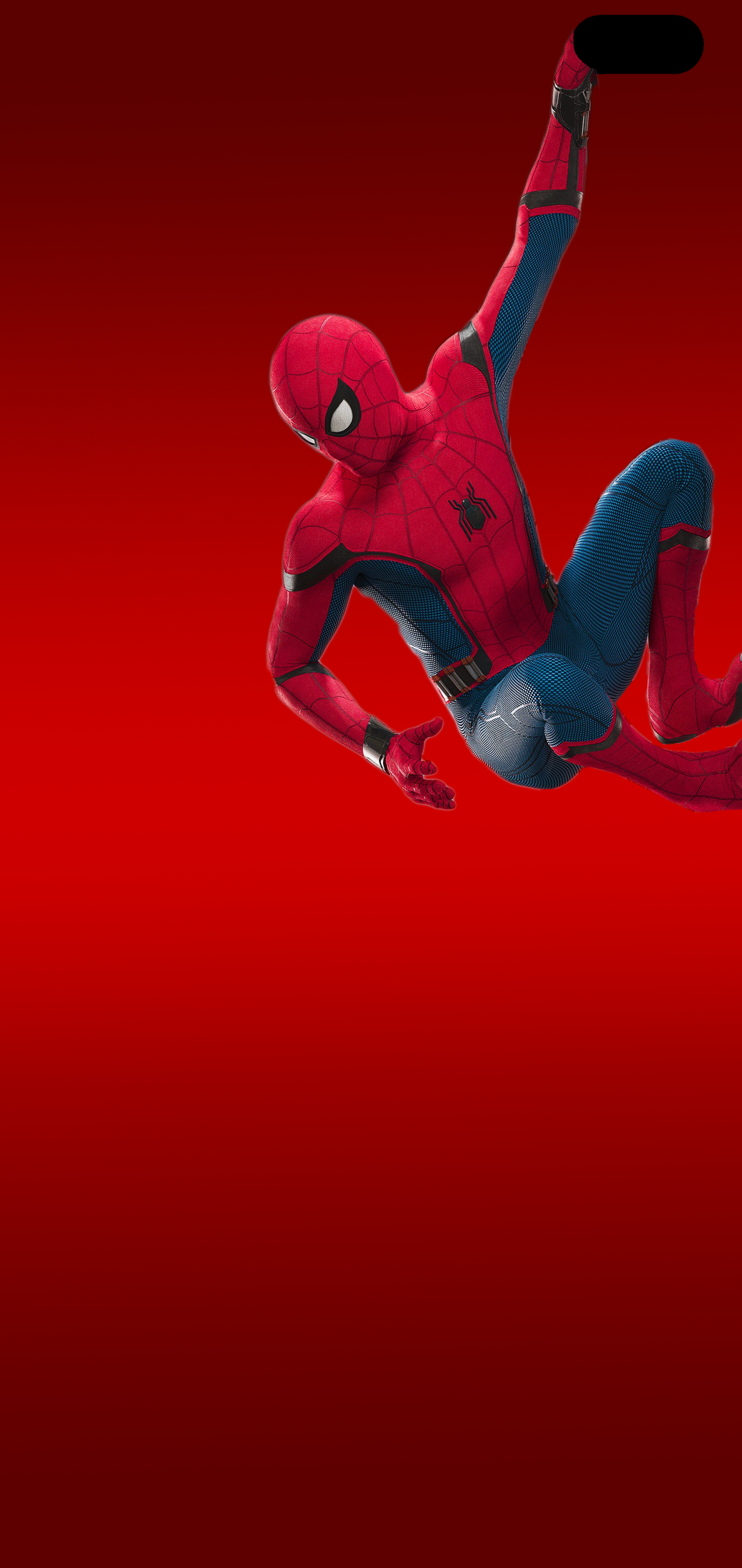 Spider Man Hangs On The Camera Galaxy S10 Hole Punch Wallpaper