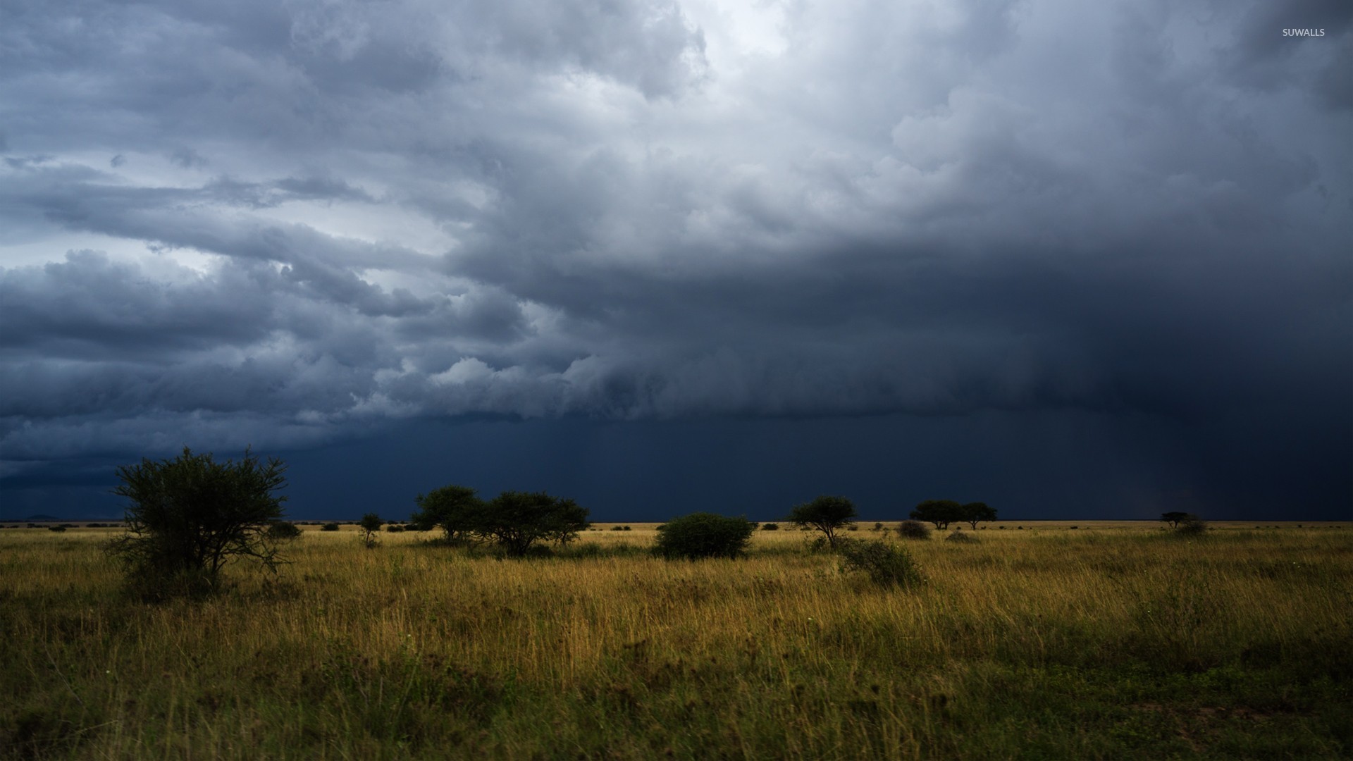 Dark storm over the field wallpaper wallpaper