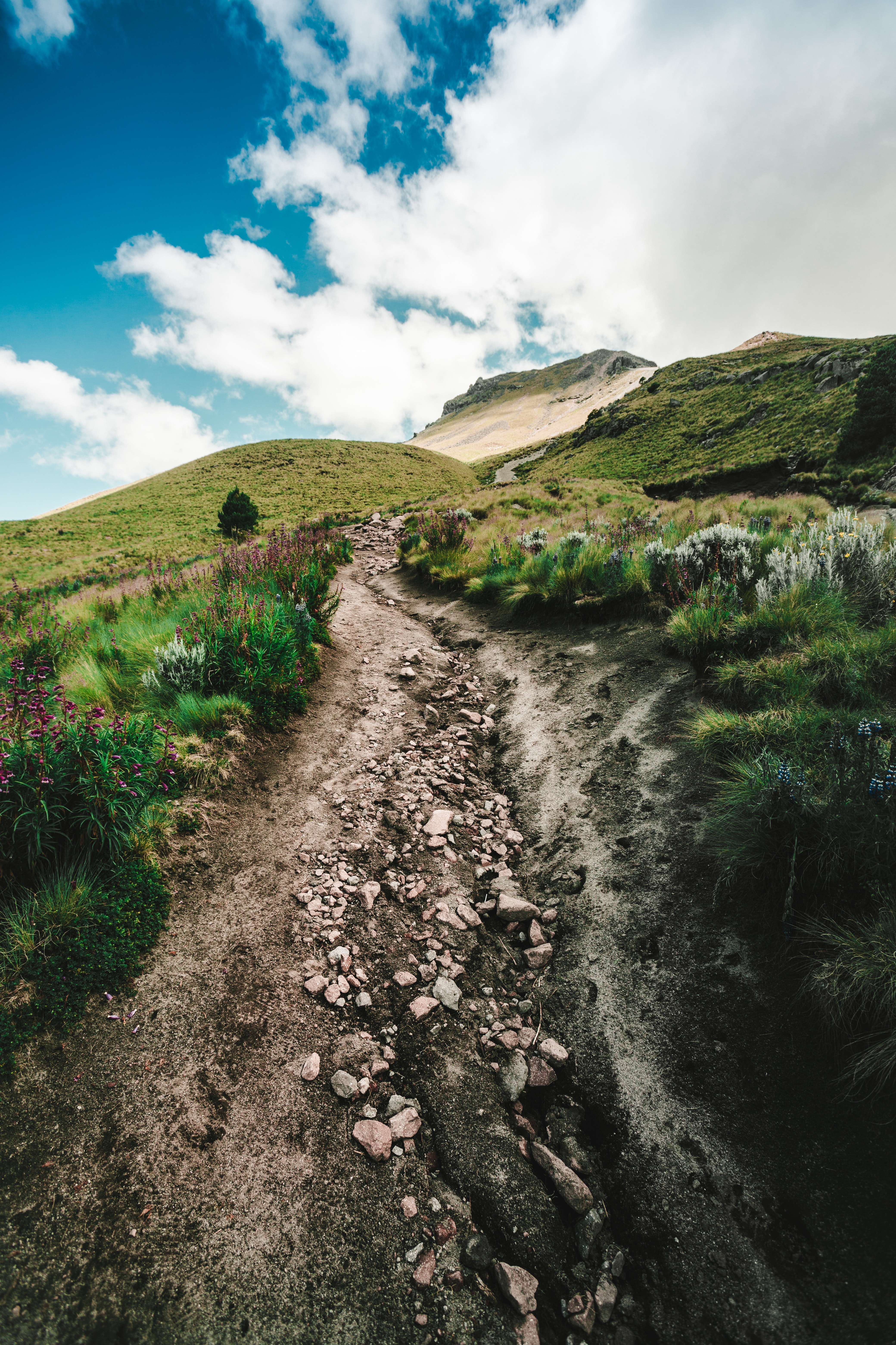 Mountain Path Photo, Download Free Mountain Path & HD Image