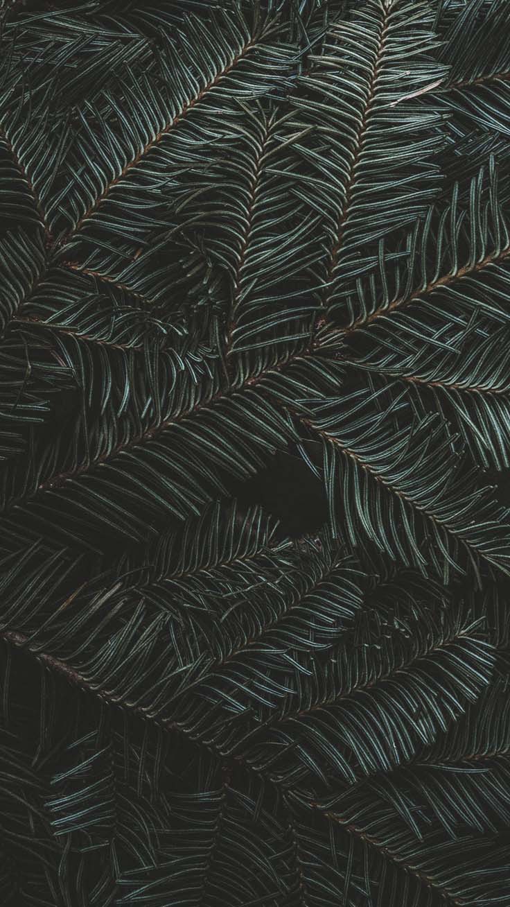 Merry Preppy Christmas iPhone Wallpaper