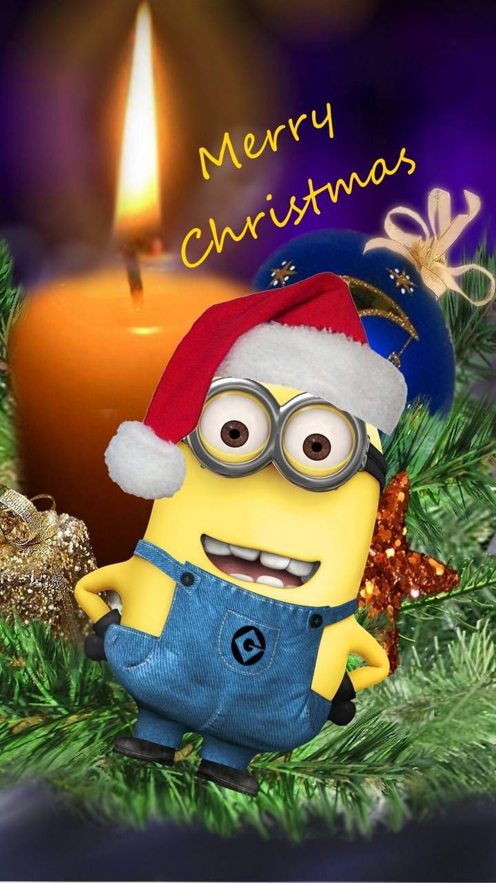 Download Minion Xmas wallpaper by mishu_ now. Browse millions of popular christma. Minion christmas, Merry christmas minions, Xmas wallpaper