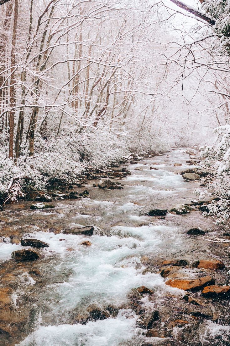 A beautiful, snowy mountain stream in the Great Smoky Mountains National Park. Mountain landscape photography, Winter landscape photography, Mountains aesthetic