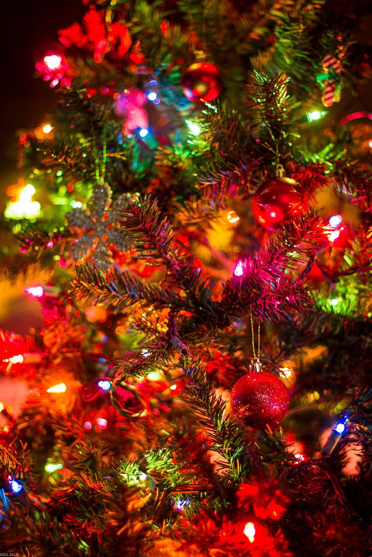 12 12 01NovRandoms 0052 2. Christmas Lights Wallpaper, Christmas Lights Background, Rainbow Christmas Tree