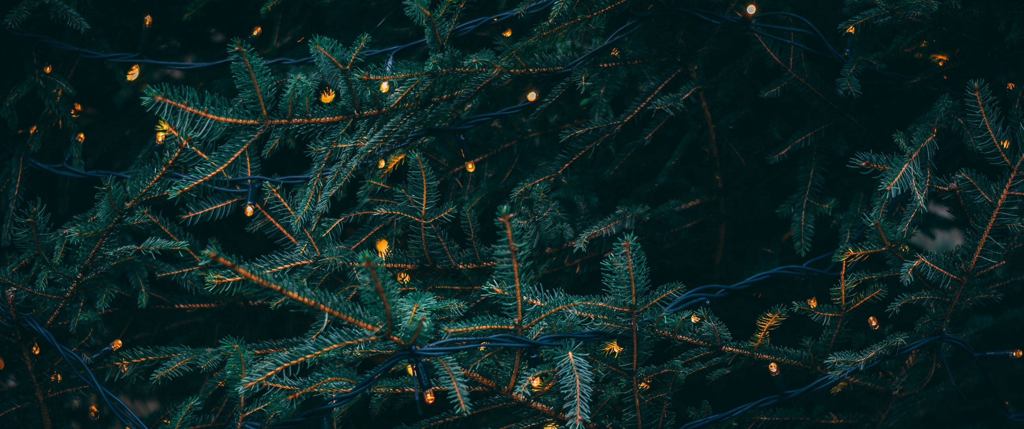 Pine trees Wallpaper 4K, Decoration, LED lights