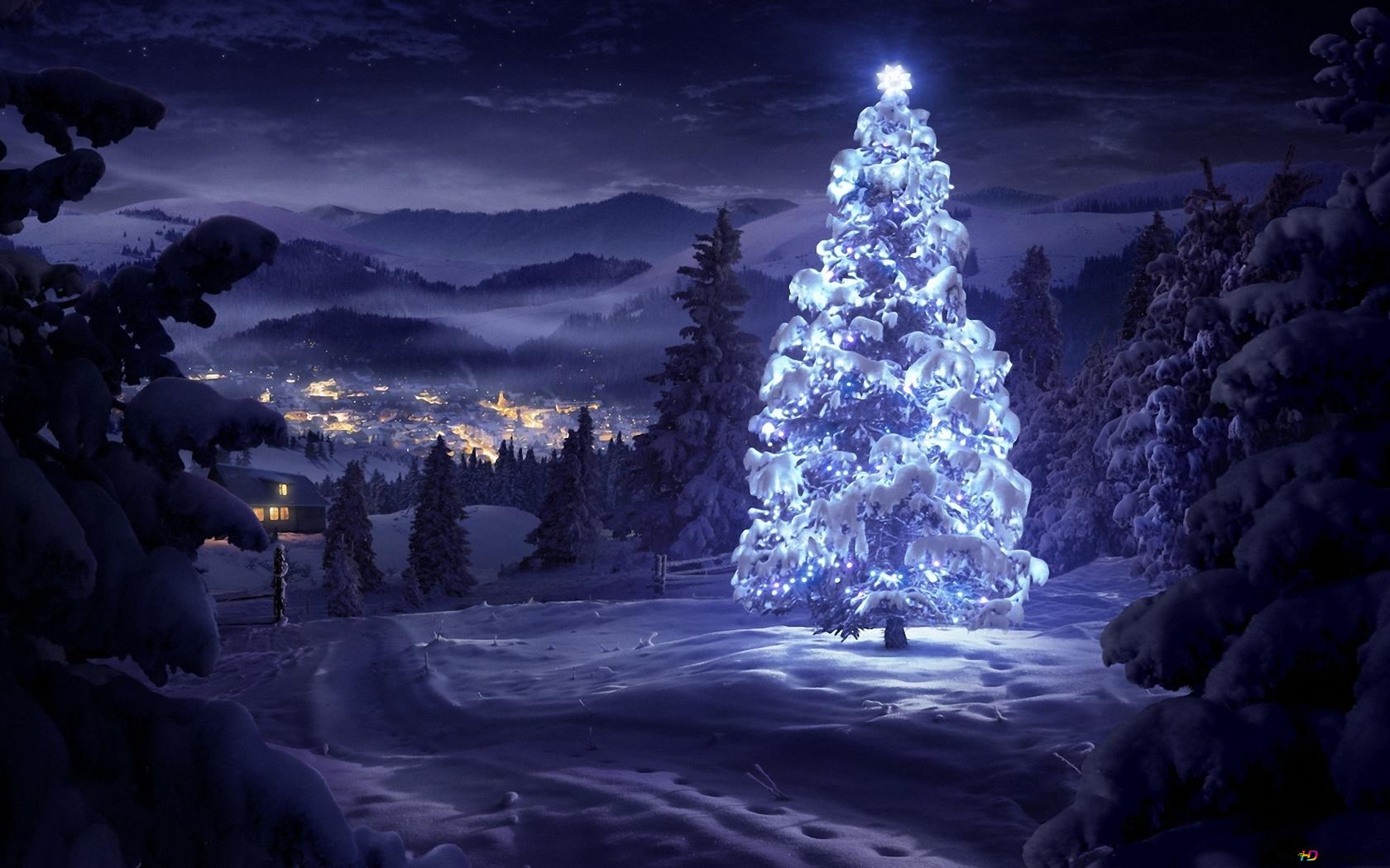 a Christmas Tree Far From the Village HD wallpaper download