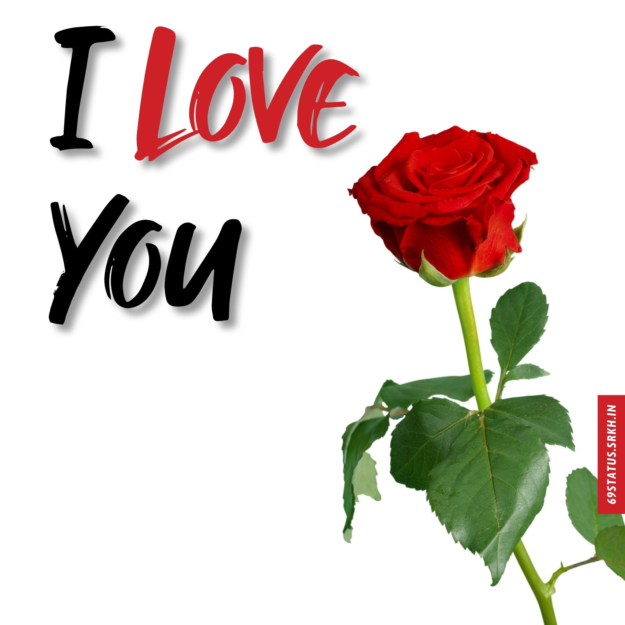Rose image with I Love You. Love you image, I love you picture, Love rose flower