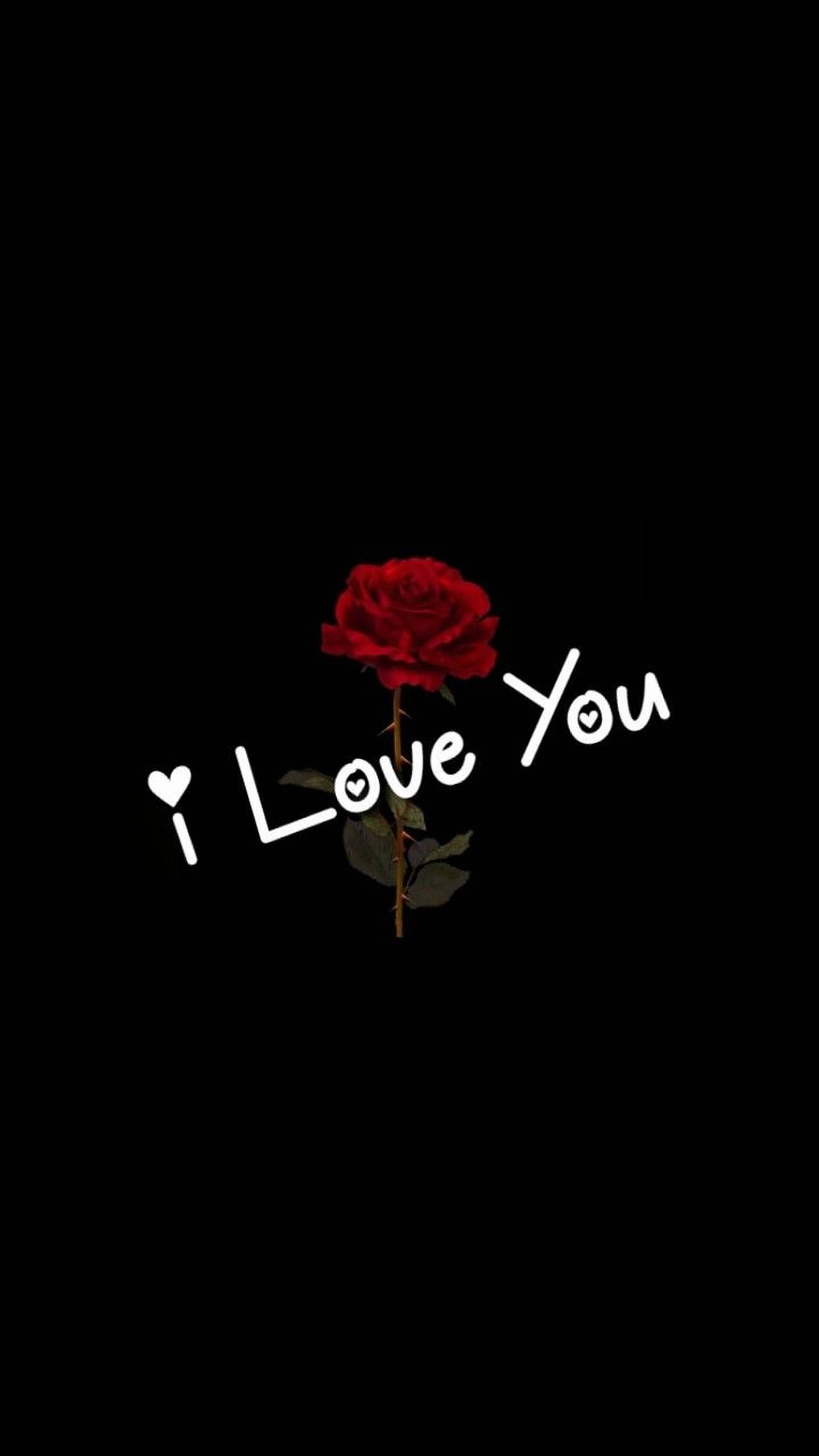 Download I Love You Red Rose Wallpaper