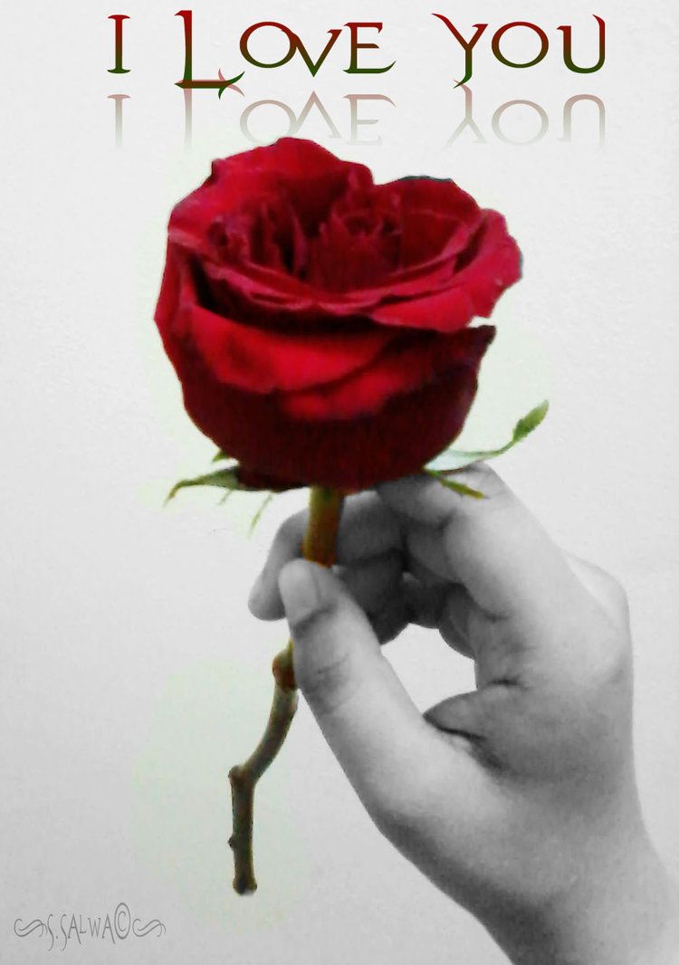 I Love You Roses ~ I♥U