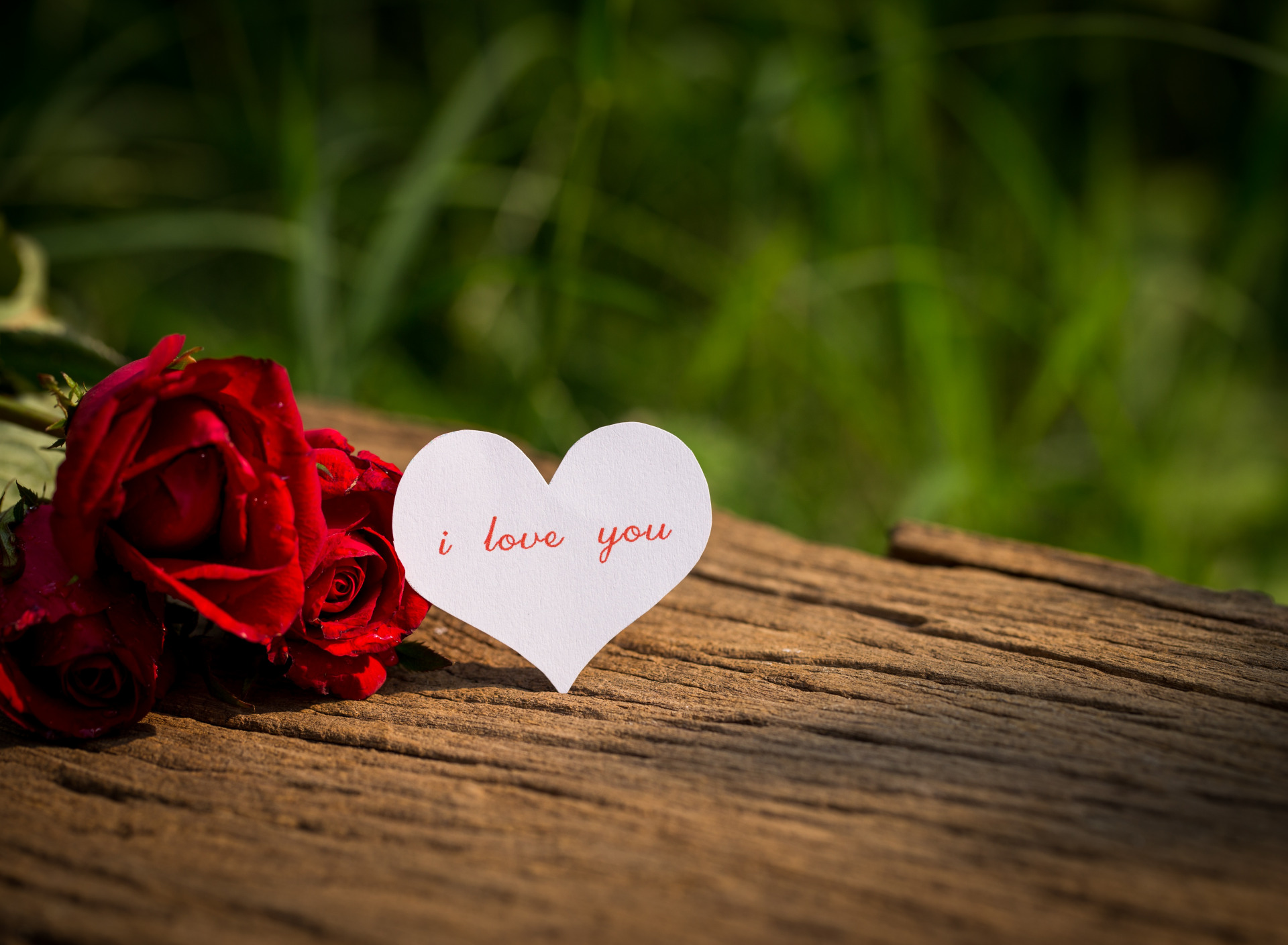 Download wallpaper love, flowers, heart, roses, red, love, i love you, heart, wood, flowers, romantic, valentine's day, roses, section flowers in resolution 1920x1408
