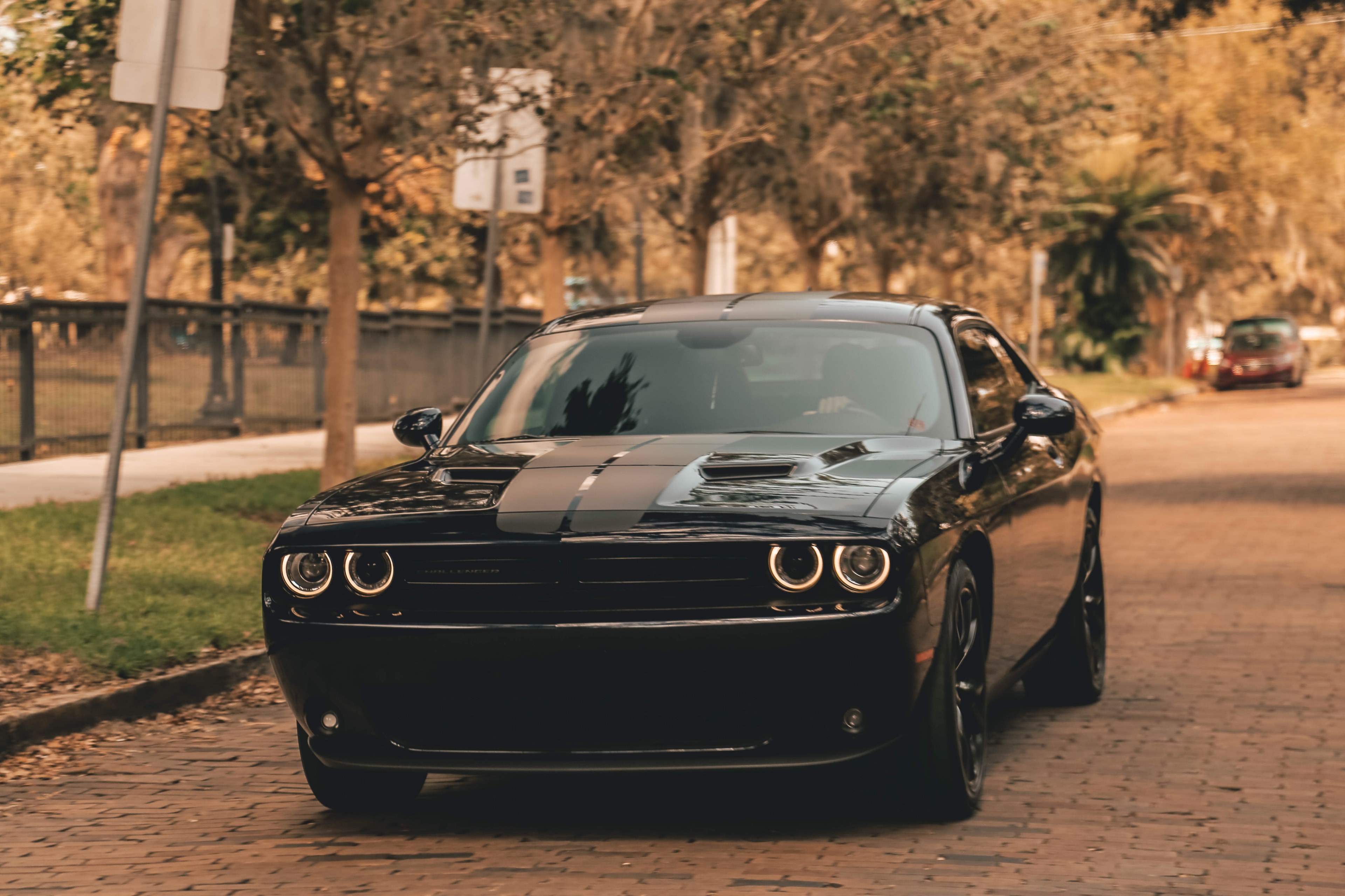 Wallpaper / muscle car 4k wallpaper free download