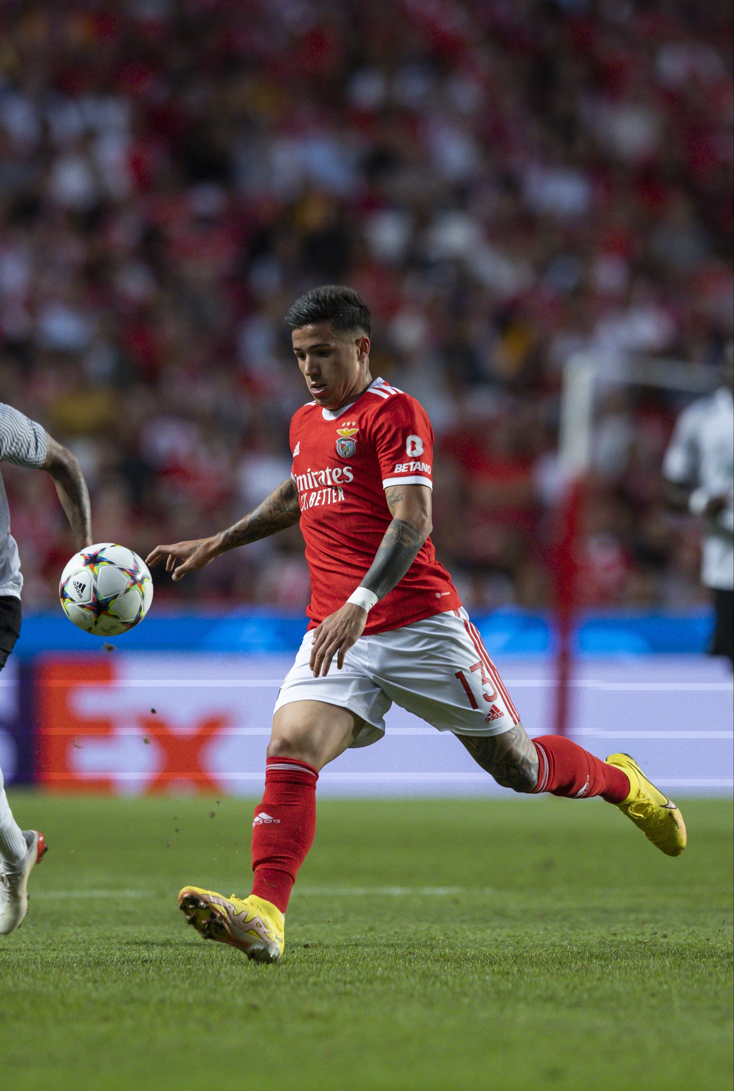 Wolves to launch new transfer bid for Enzo Fernandez after Benfica pipped them to Argentine star this summer. The US Sun