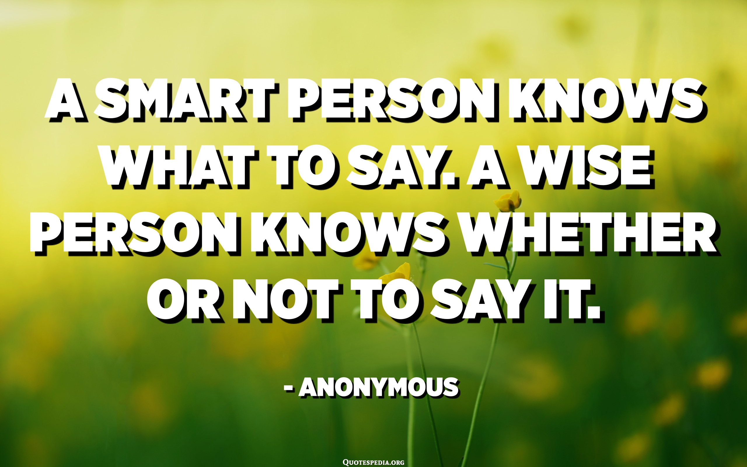 A smart person knows what to say. A wise person knows whether or not to say it