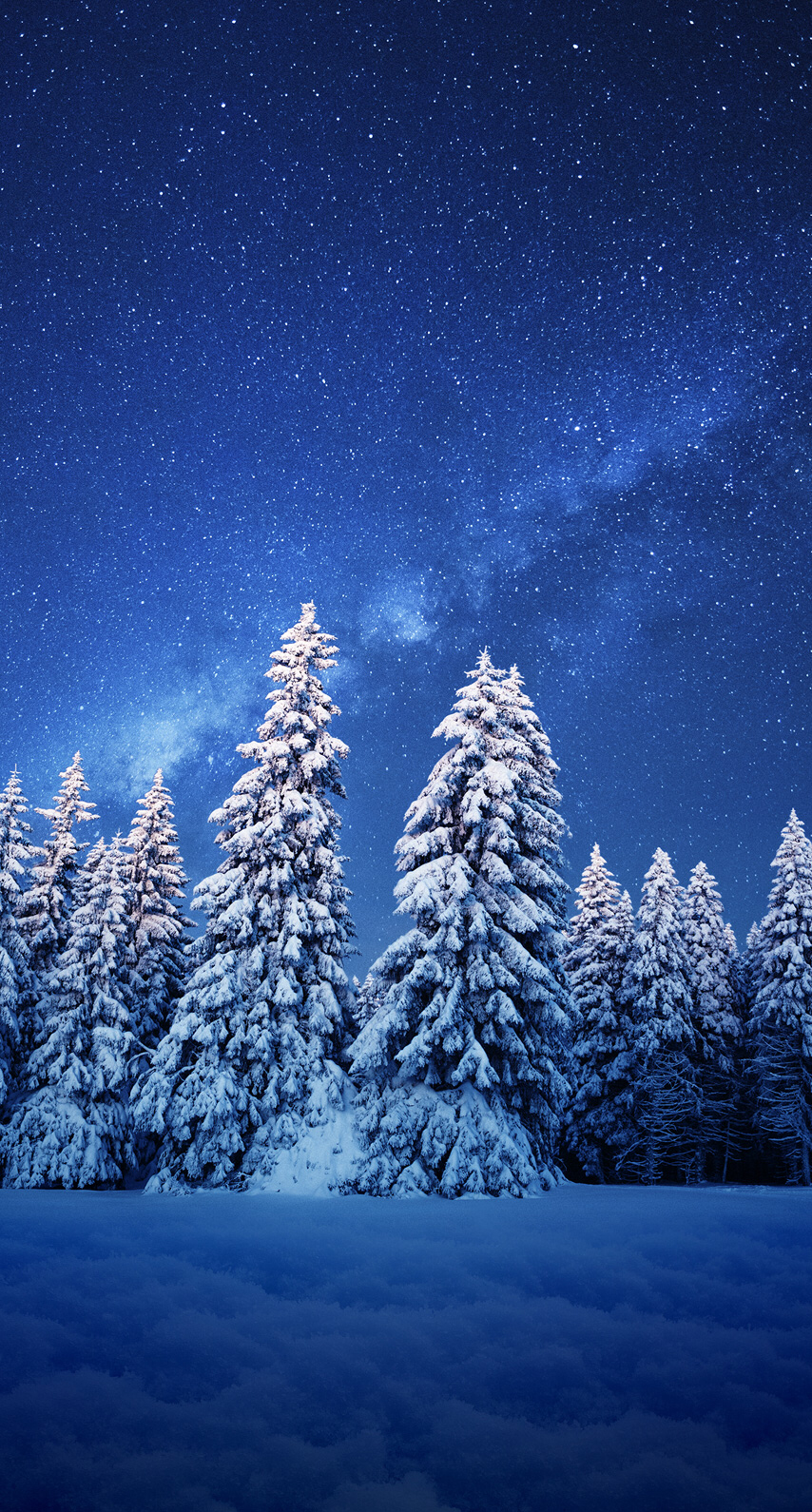 Trees covered in snow with the night sky in the background. Winter wallpaper, New wallpaper iphone, Beautiful nature wallpaper