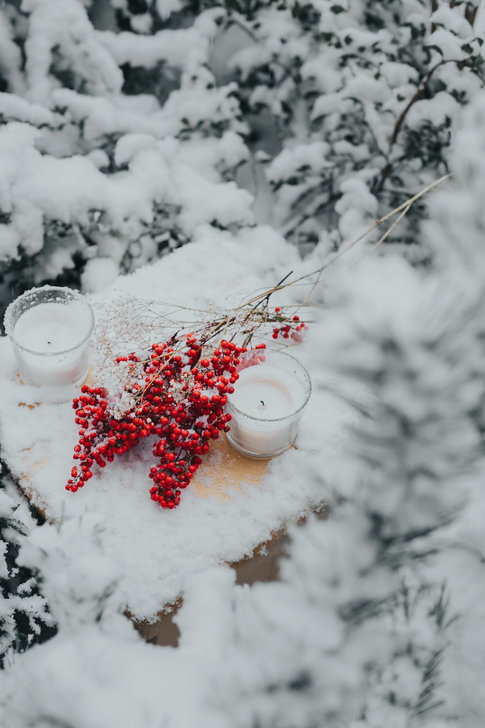 white ceramic mug with red and white ribbon on white snow photo