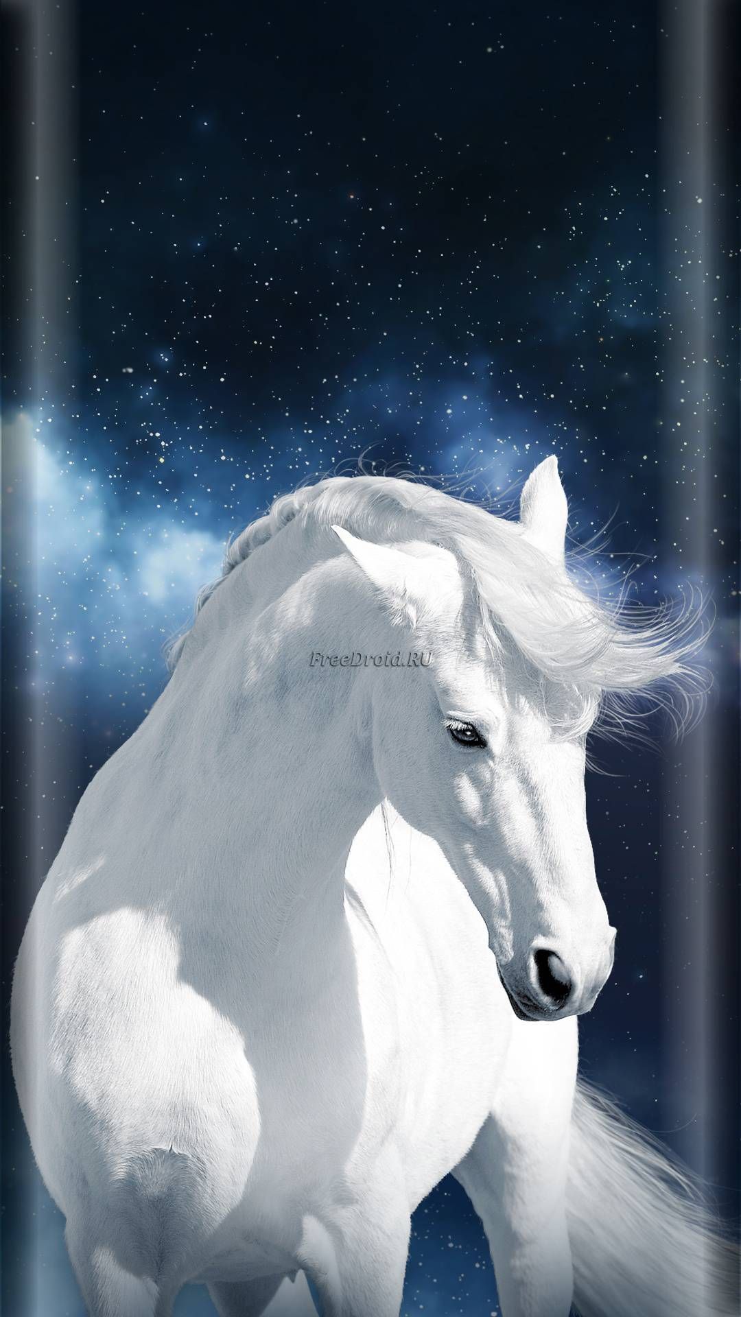 Free download 3D Horse Desktop HD Wallpaper 3D Abstract Wallpapers  [1280x1024] for your Desktop, Mobile & Tablet | Explore 75+ Horse Wallpaper  For Computer | Horse Backgrounds For Your Computer, Free Horse