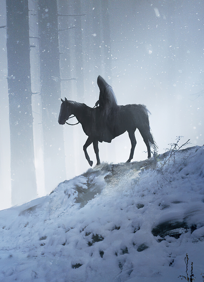 Download wallpaper 840x1160 man on horse, walking through woods, silhouette, fantasy, iphone 4, iphone 4s, ipod touch, 840x1160 HD background, 26203