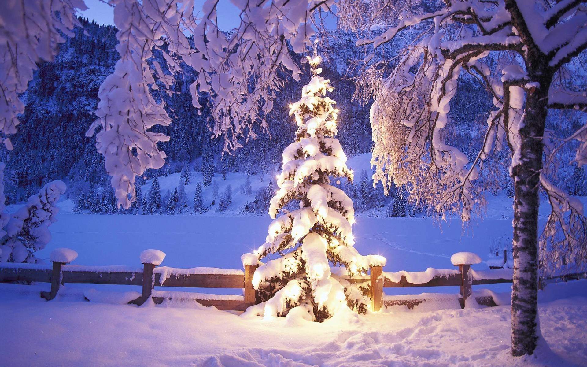 Winter Christmas Desktop Background
