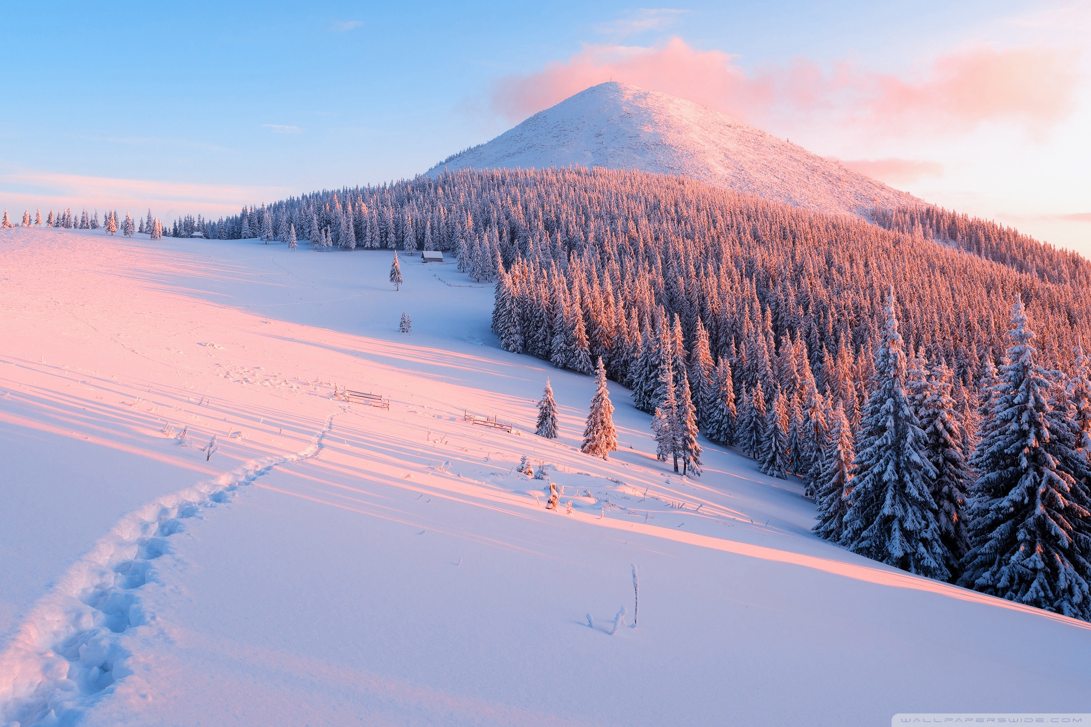 Winter, Nature Ultra HD Desktop Background Wallpaper for: Widescreen & UltraWide Desktop & Laptop, Multi Display, Dual Monitor, Tablet