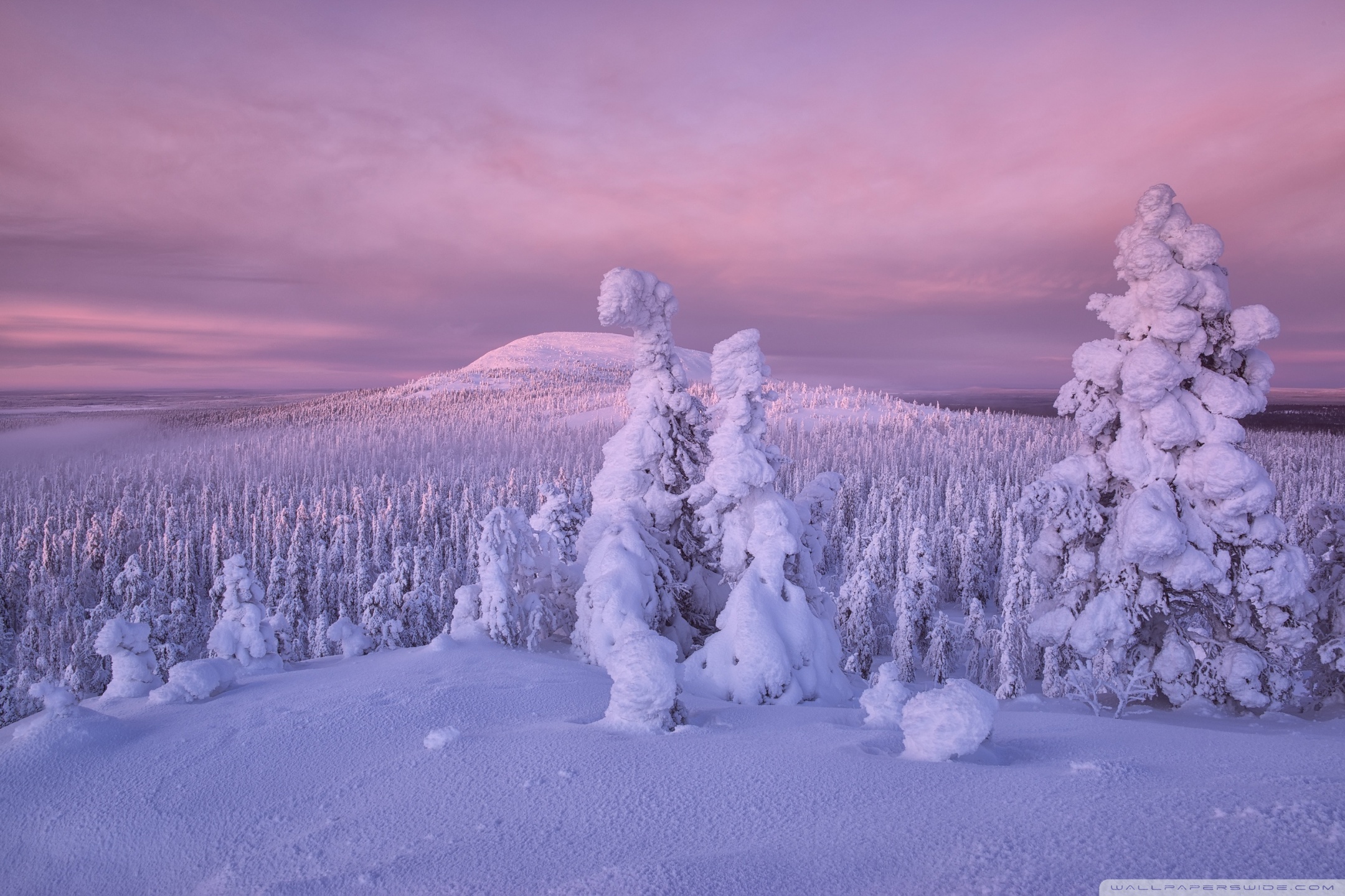 Winter Snow Ultra HD Desktop Background Wallpaper for 4K UHD TV, Widescreen & UltraWide Desktop & Laptop, Multi Display, Dual Monitor, Tablet