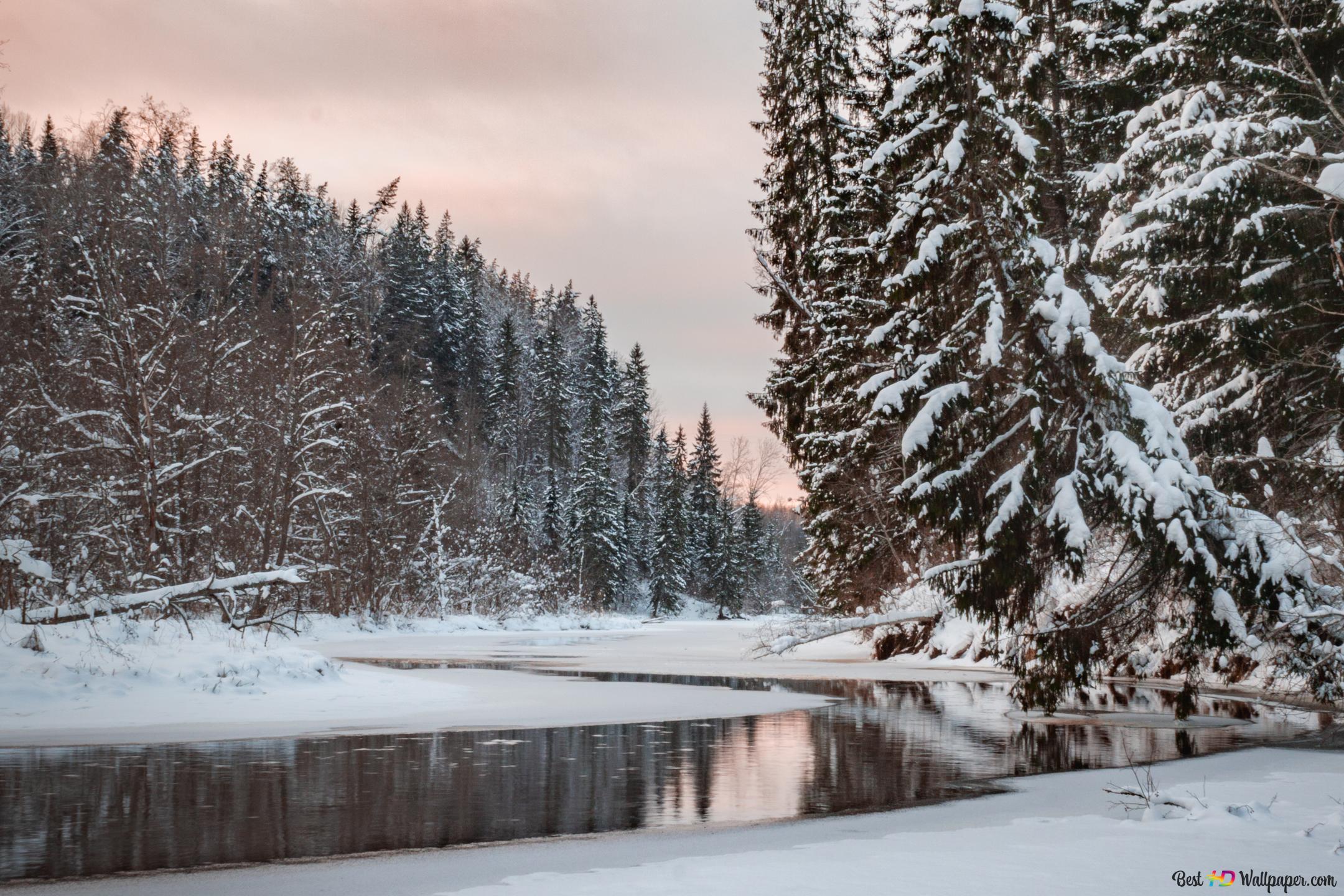 Winter Nature HD 4K wallpaper download