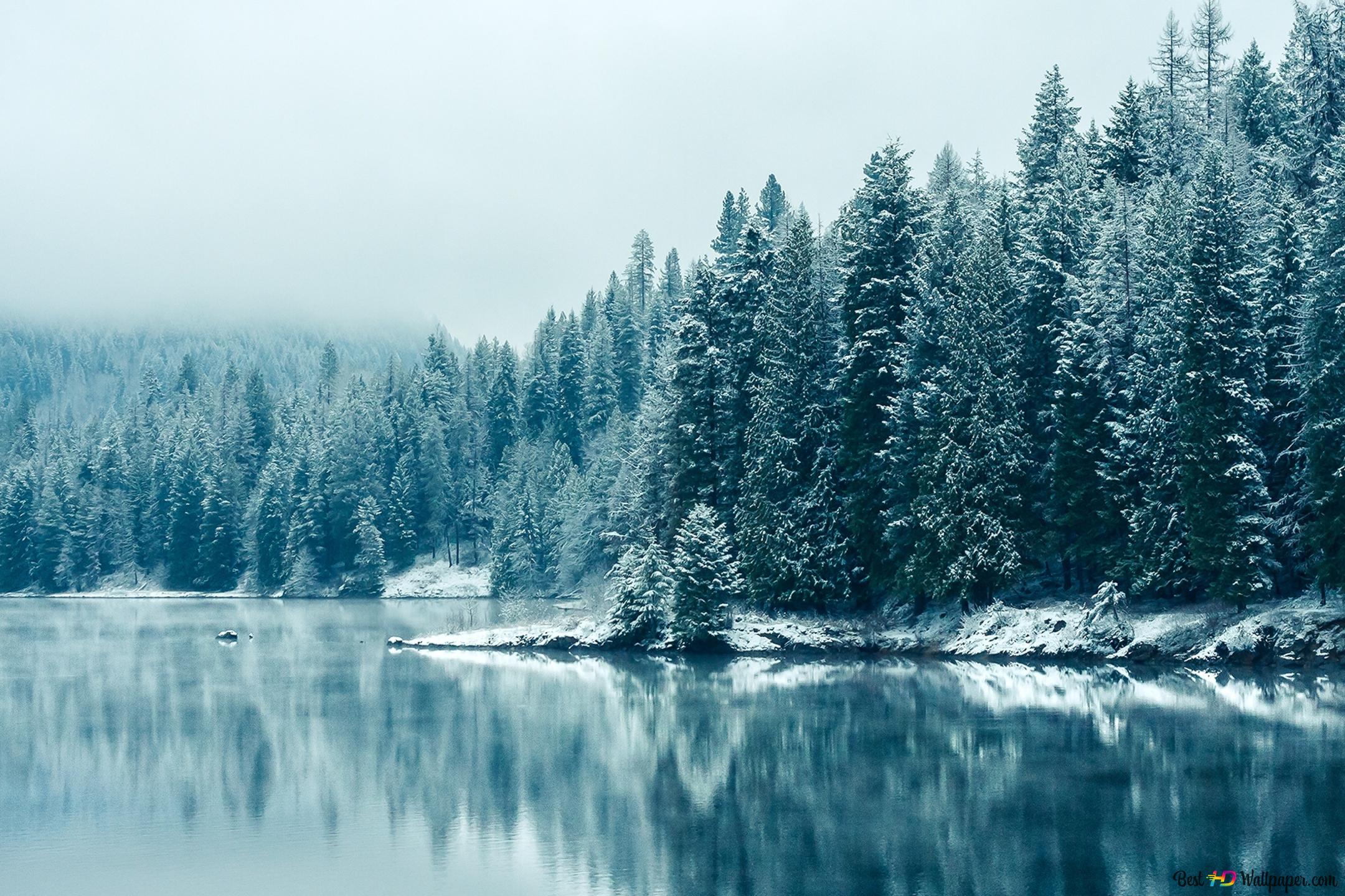 Winter is Coming Here 4K wallpaper download