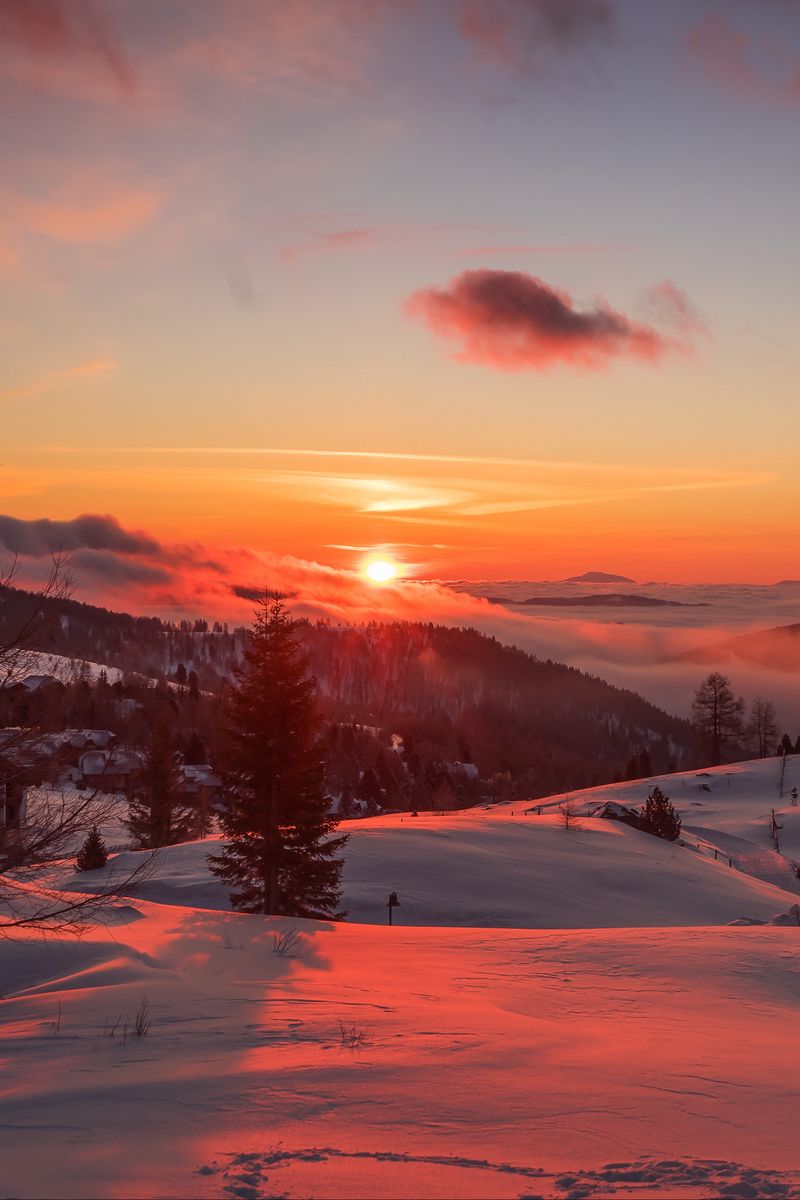 Download Wallpaper 800x1200 Mountains, Winter, Sunset, Trees, Austria Iphone 4s 4 For Parallax HD Background