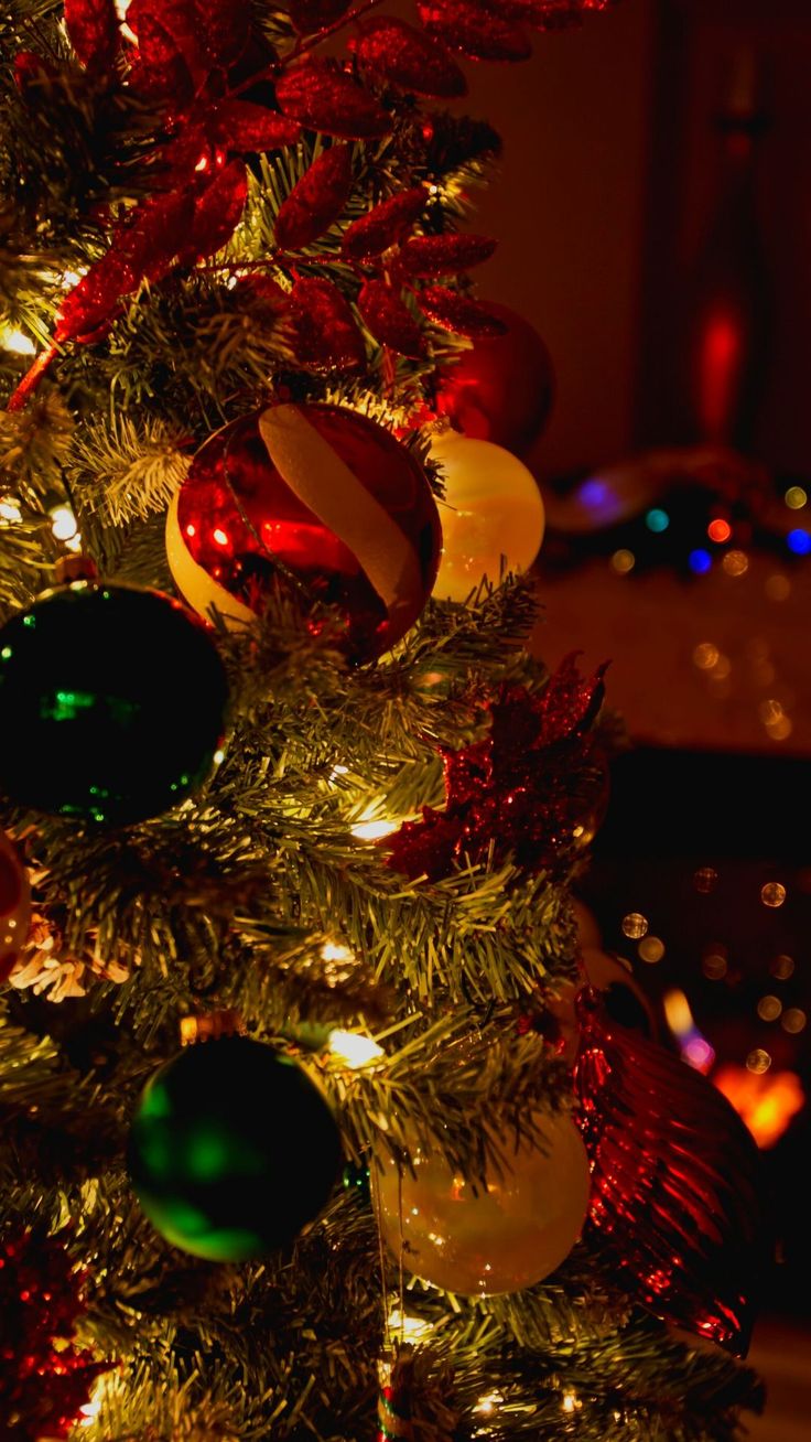 Christmas All Year! 55 Cozy Christmas Wallpaper iPhone Background for iPhone, Android. Wallpaper iphone christmas, Christmas wallpaper free, Christmas wallpaper