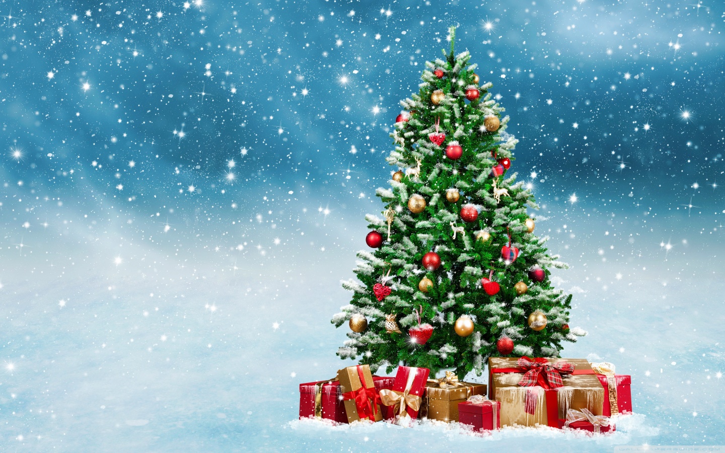 Christmas Trees Decorated in Red and Gold Ultra HD Desktop Background Wallpaper for 4K UHD TV, Widescreen & UltraWide Desktop & Laptop, Tablet
