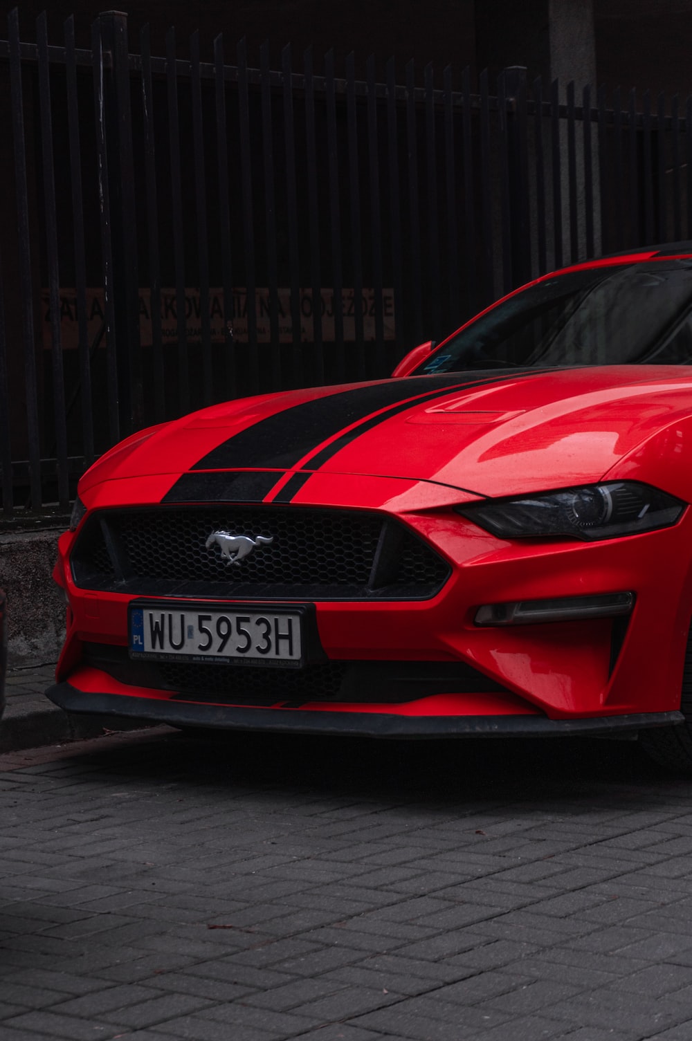 Mustang Wallpaper: Free HD Download [HQ]