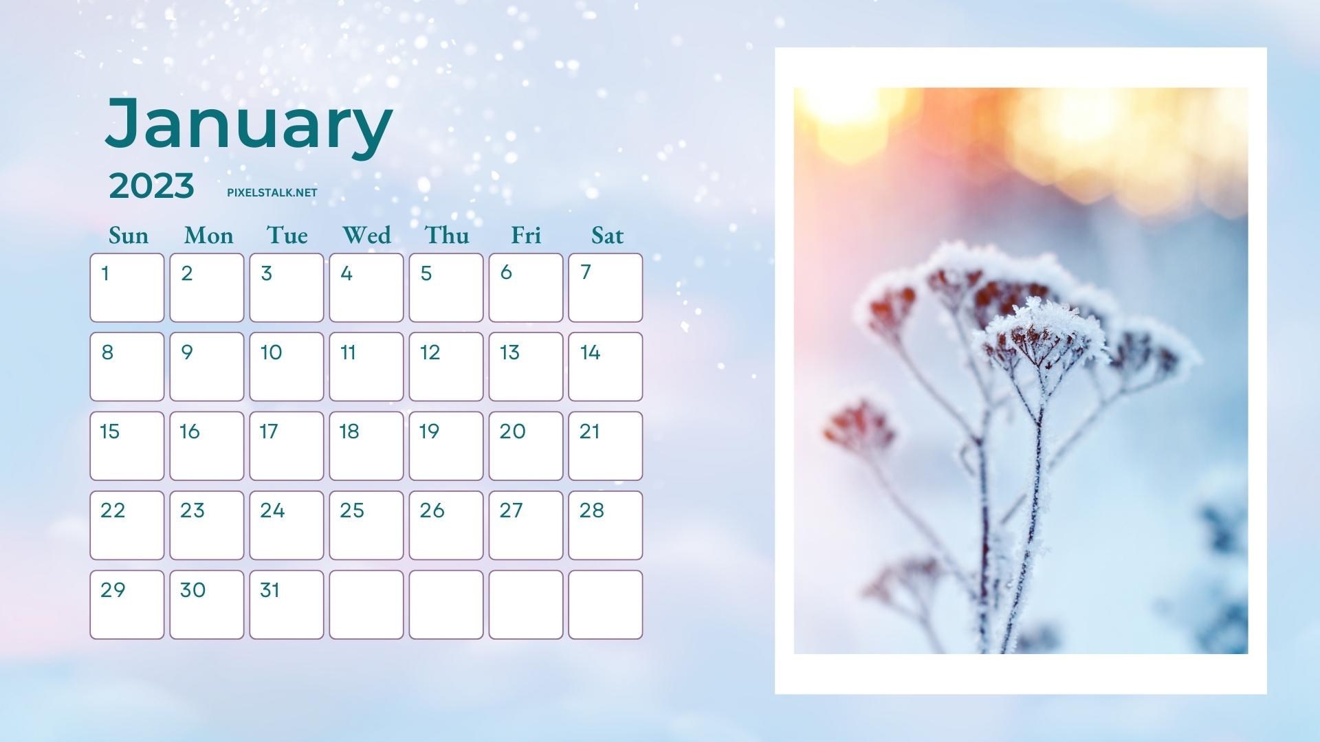 January Calendar 2023 Desktop Wallpapers
