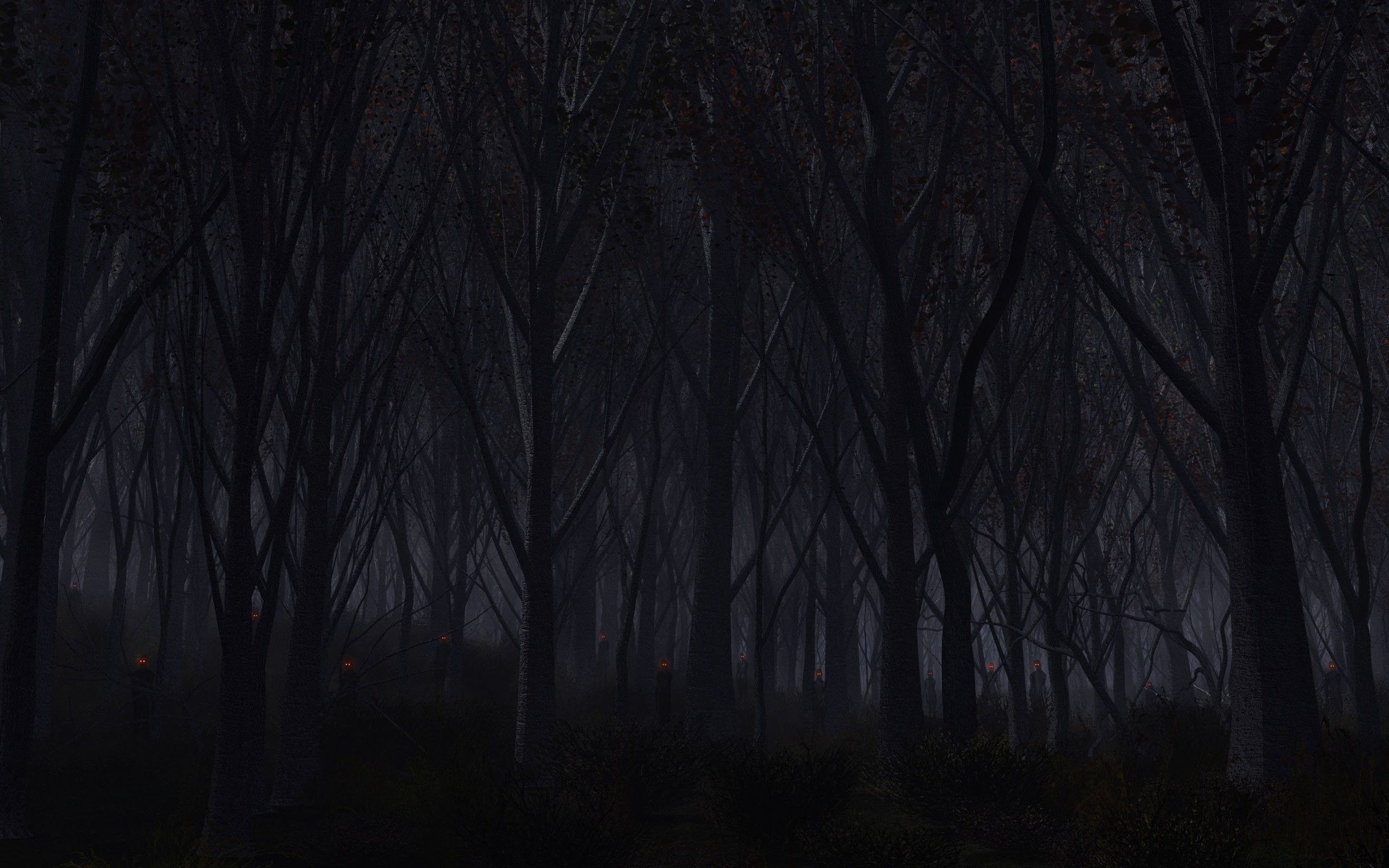 Eyes trees autumn dark night wood forest wallpaper. Dark wallpaper, Dark forest, Forest wallpaper