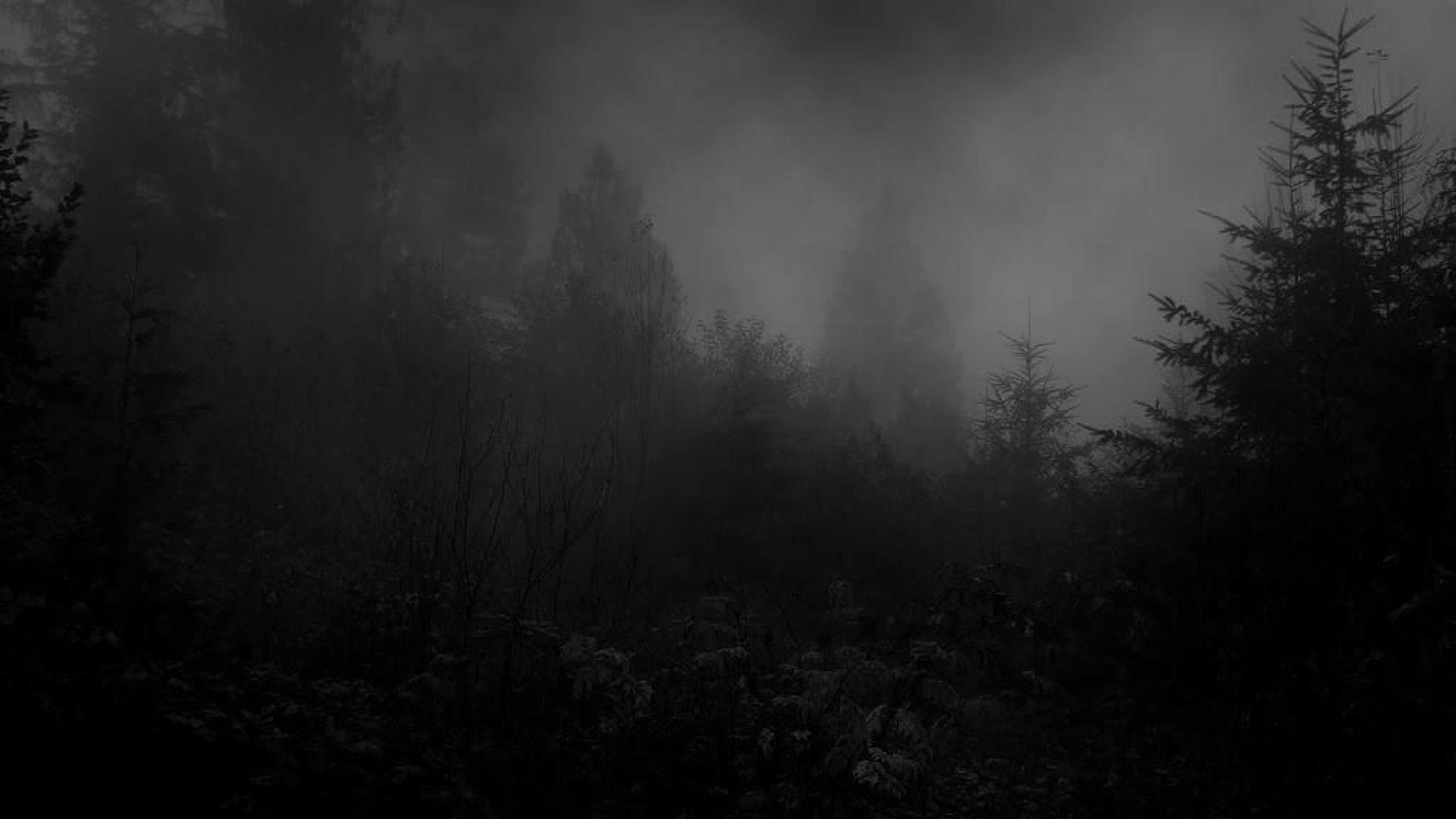 Dark forest Wallpaper Download