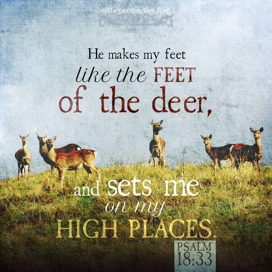 Amazing Words of God. Scripture picture, Psalms, Scripture