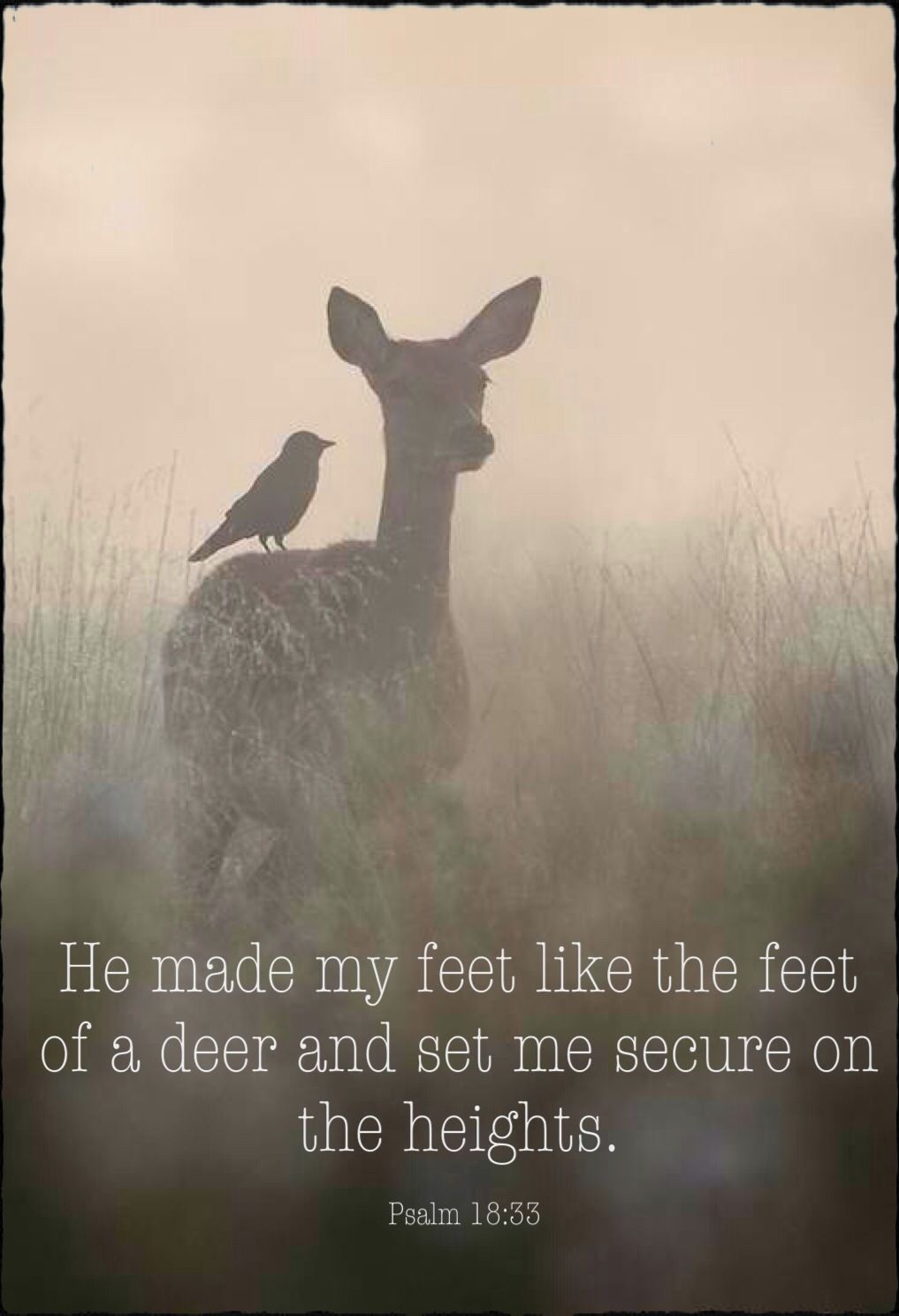 Bible Verse Image for: Feet