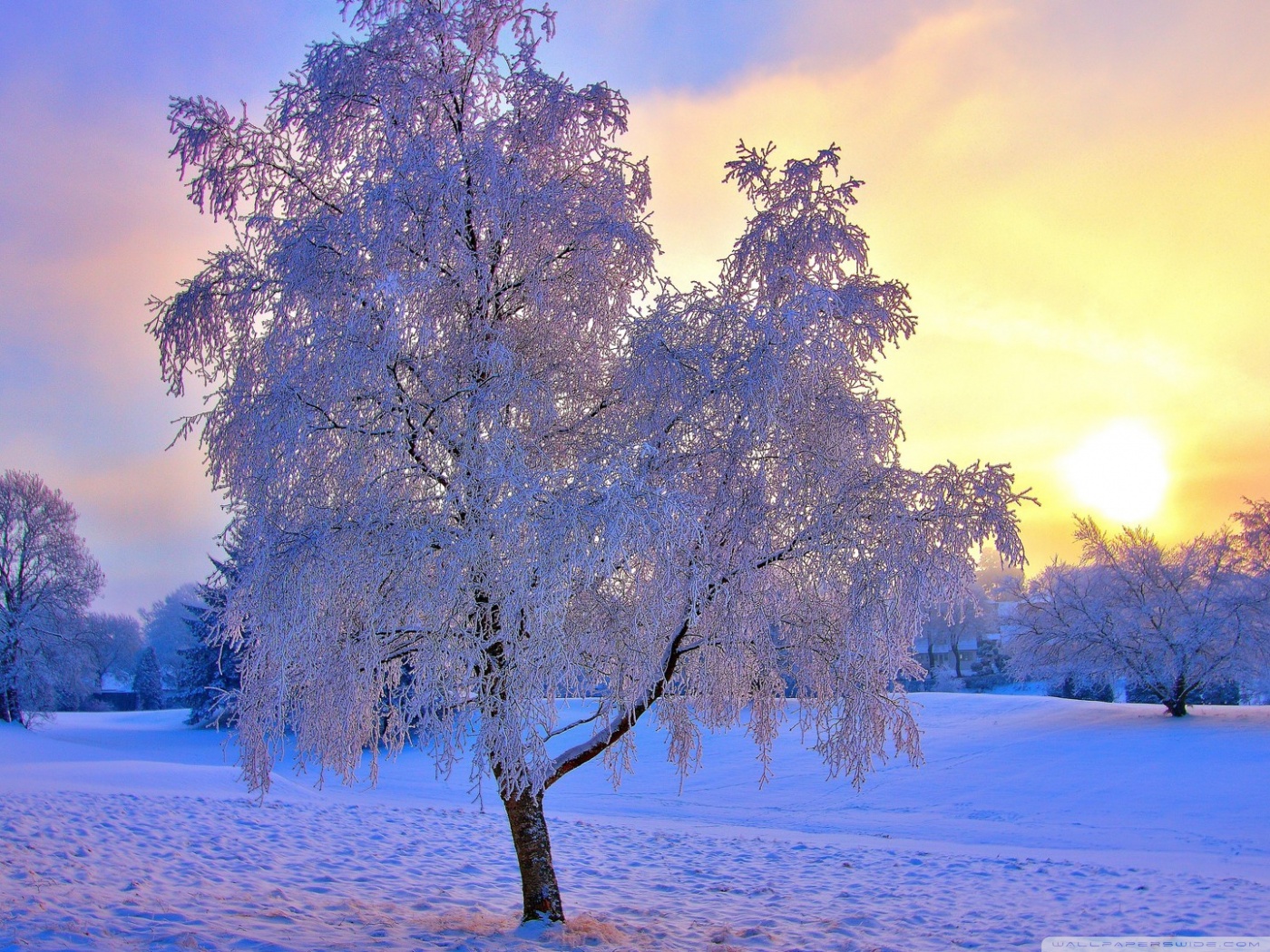 Colored Winter Sunset Ultra HD Desktop Background Wallpaper for 4K UHD TV, Widescreen & UltraWide Desktop & Laptop, Tablet