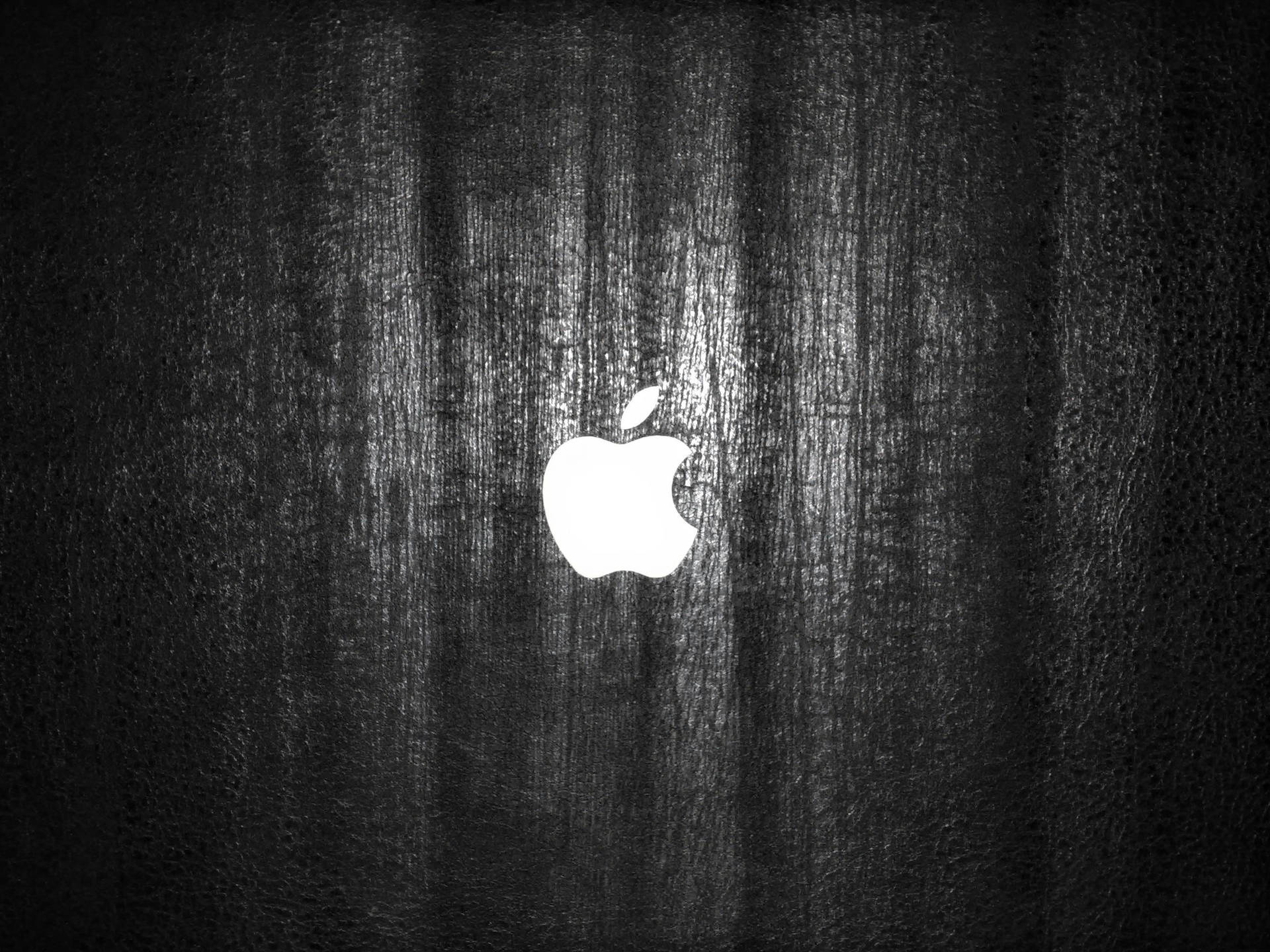 Download White Apple Logo 4k Wallpaper