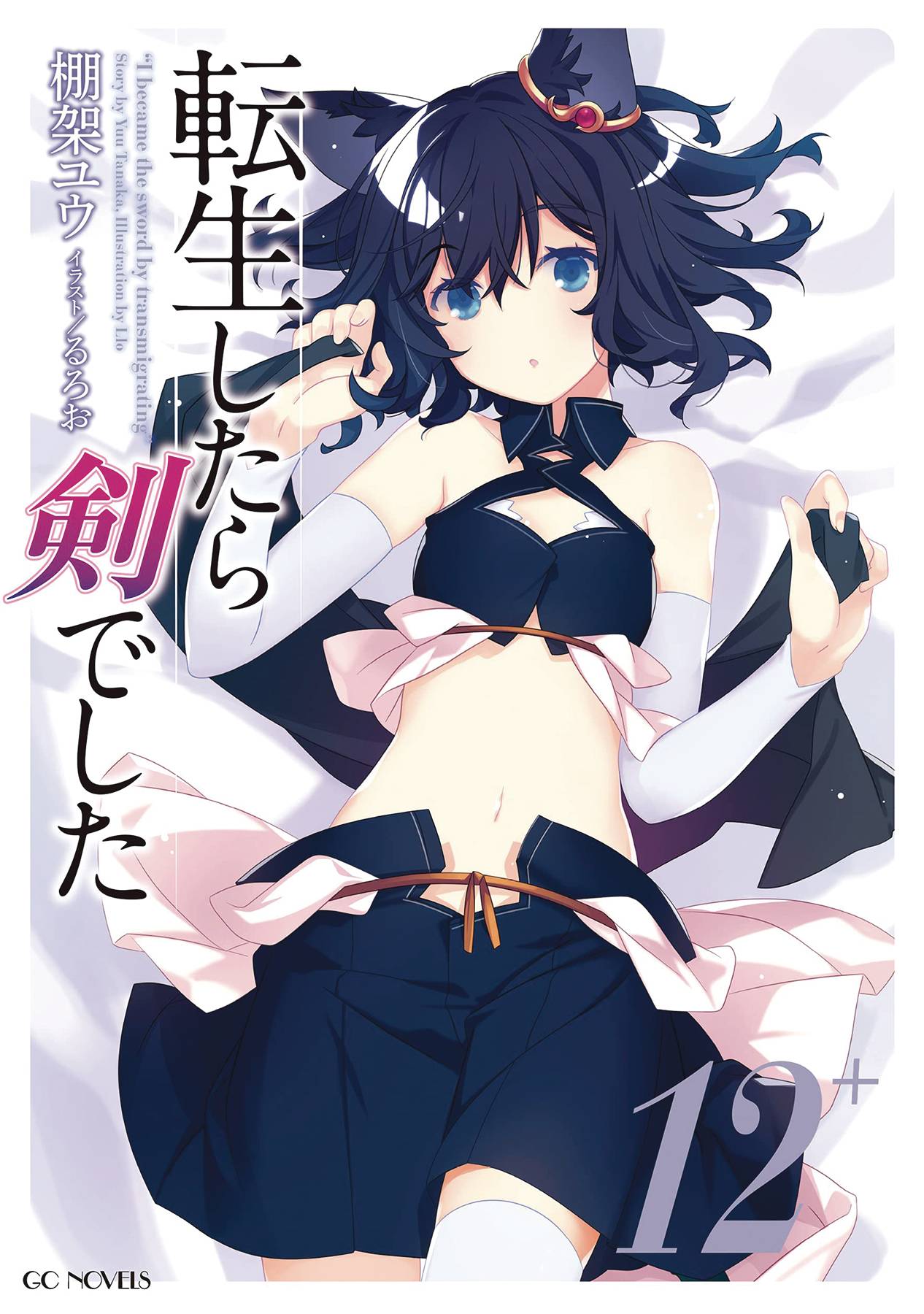 NOV222249 AS A SWORD LIGHT NOVEL SC VOL 12