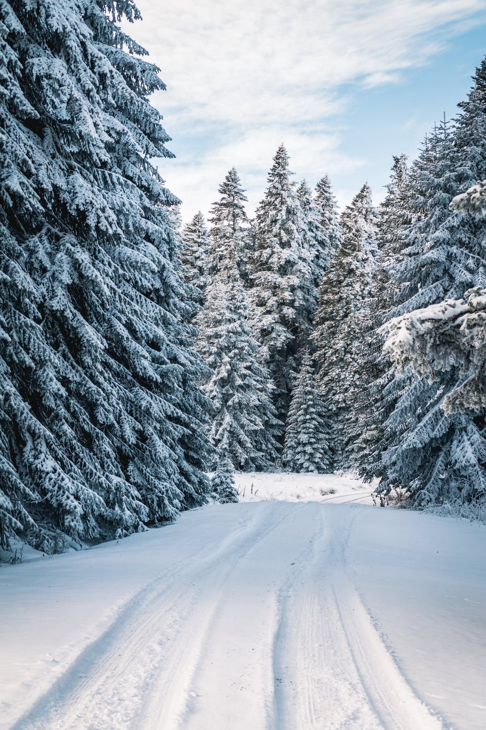 Free Beautiful Winter Wallpaper For iPhone That You'll Love