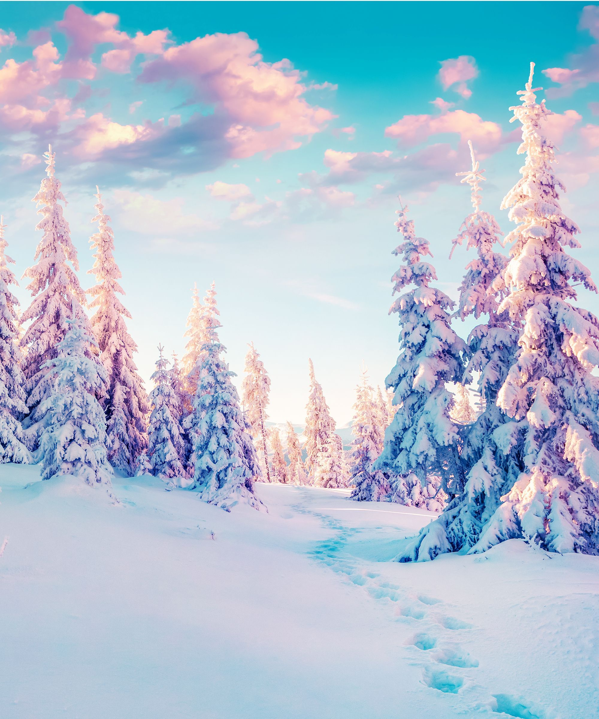 Winter Solstice Wallpaper and Background 4K, HD, Dual Screen