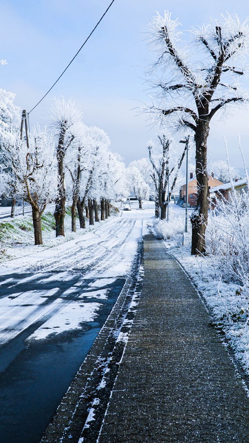 Download Wallpaper 800x1420 Winter, City, Road, Street, Snow Iphone Se 5s 5c 5 For Parallax HD Background