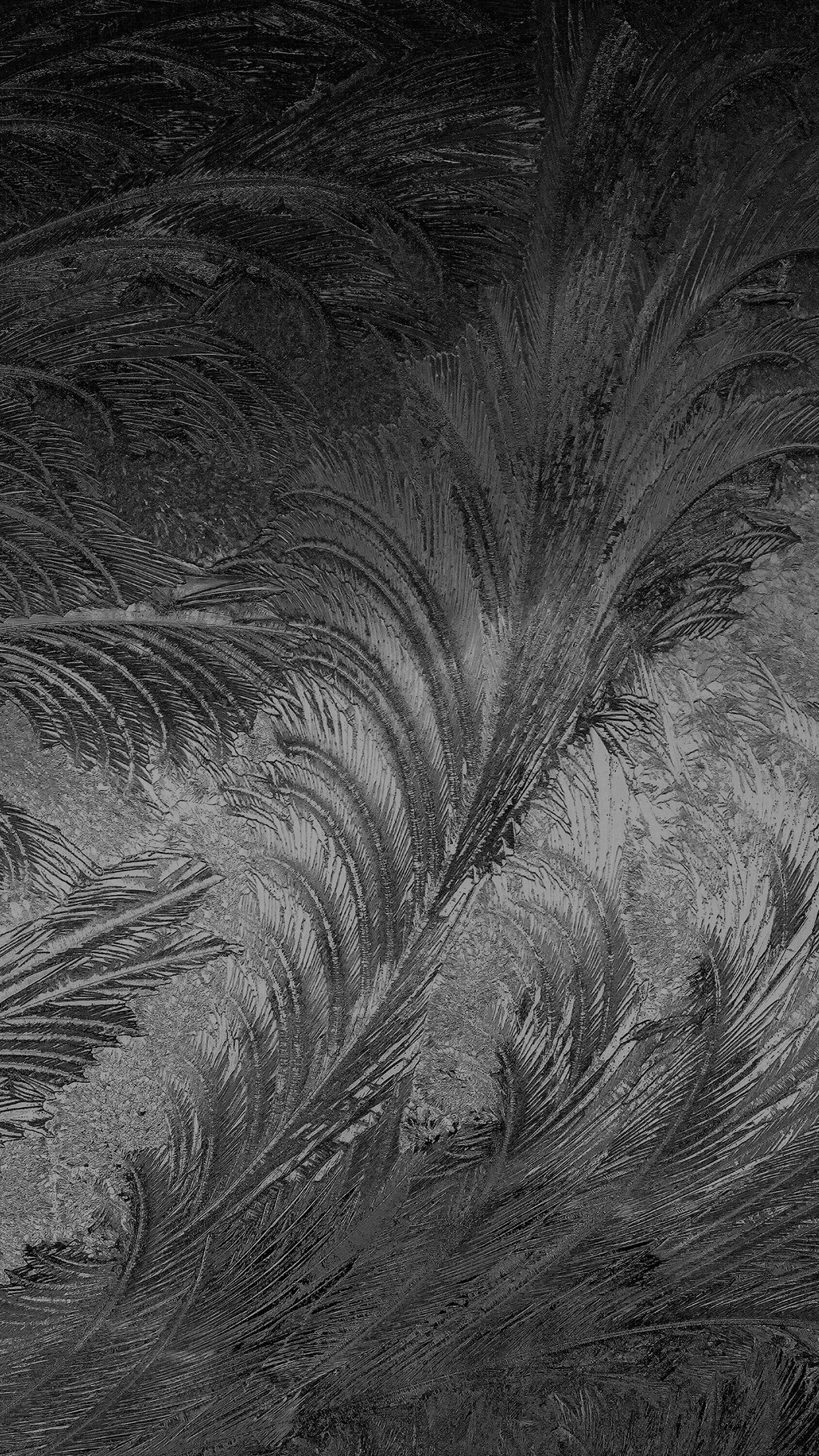 iPhone X wallpaper. winter snow window cold pattern dark bw