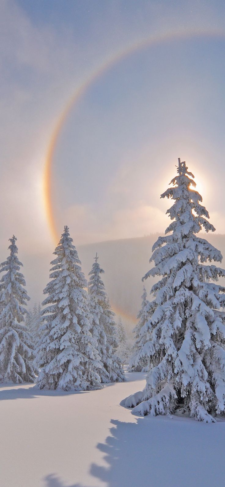 Download ore mountains, winter, saxony, germany 1125x2436 wallpaper, iphone x, 1125x2436 HD image,. Winter wallpaper hd, Winter wallpaper, iPhone wallpaper winter