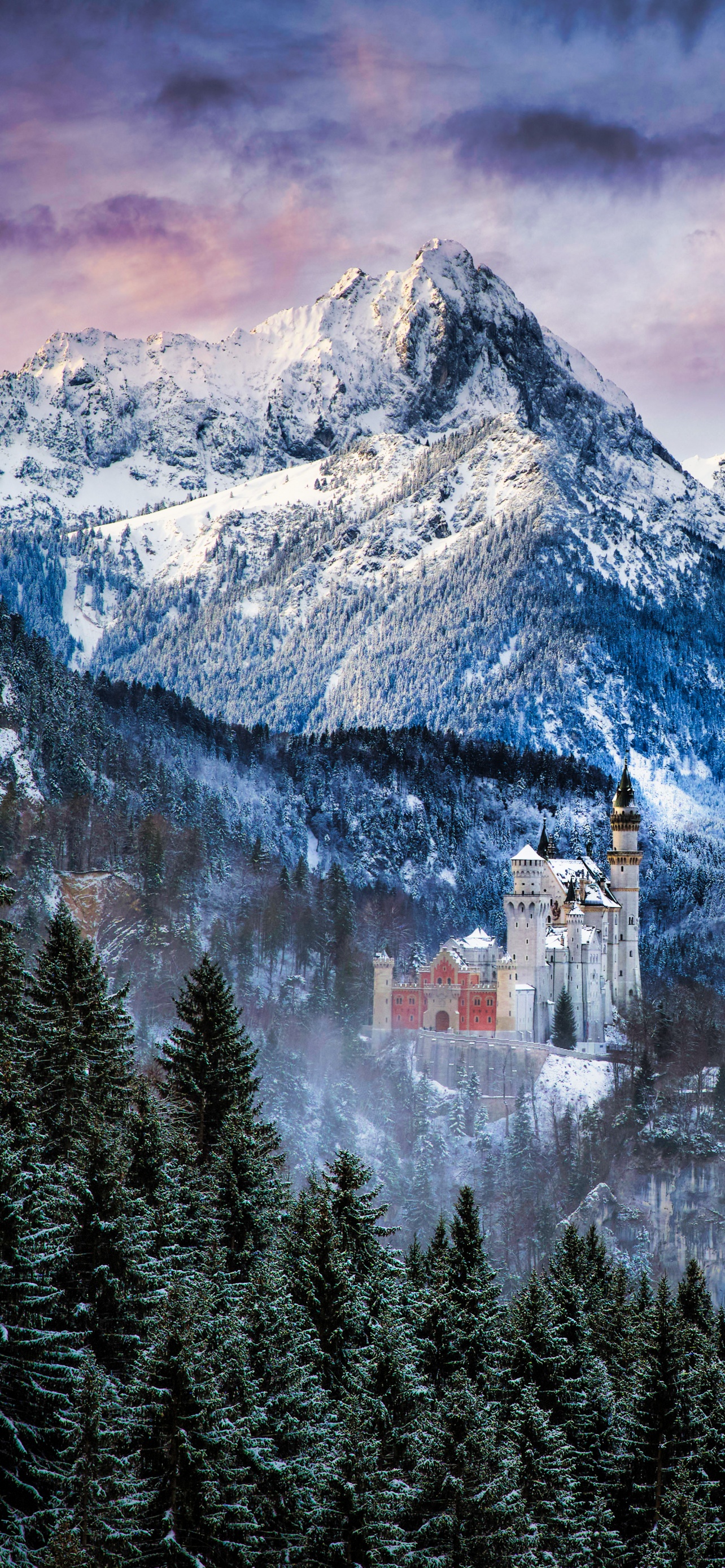 Neuschwanstein Castle Wallpaper 4K, Morning, Winter, Nature