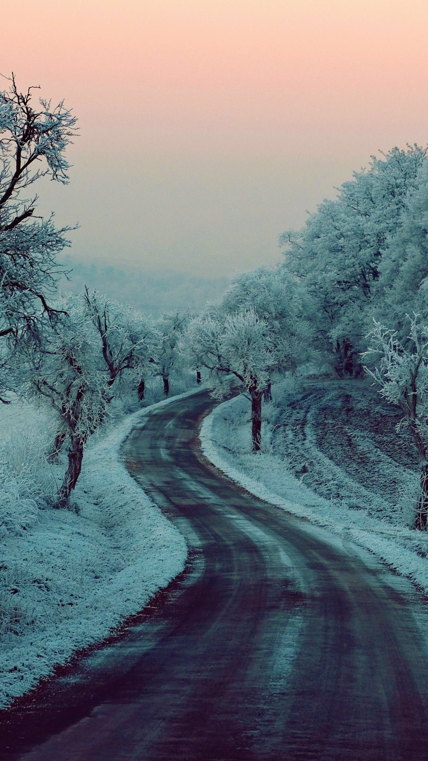 Winter Road