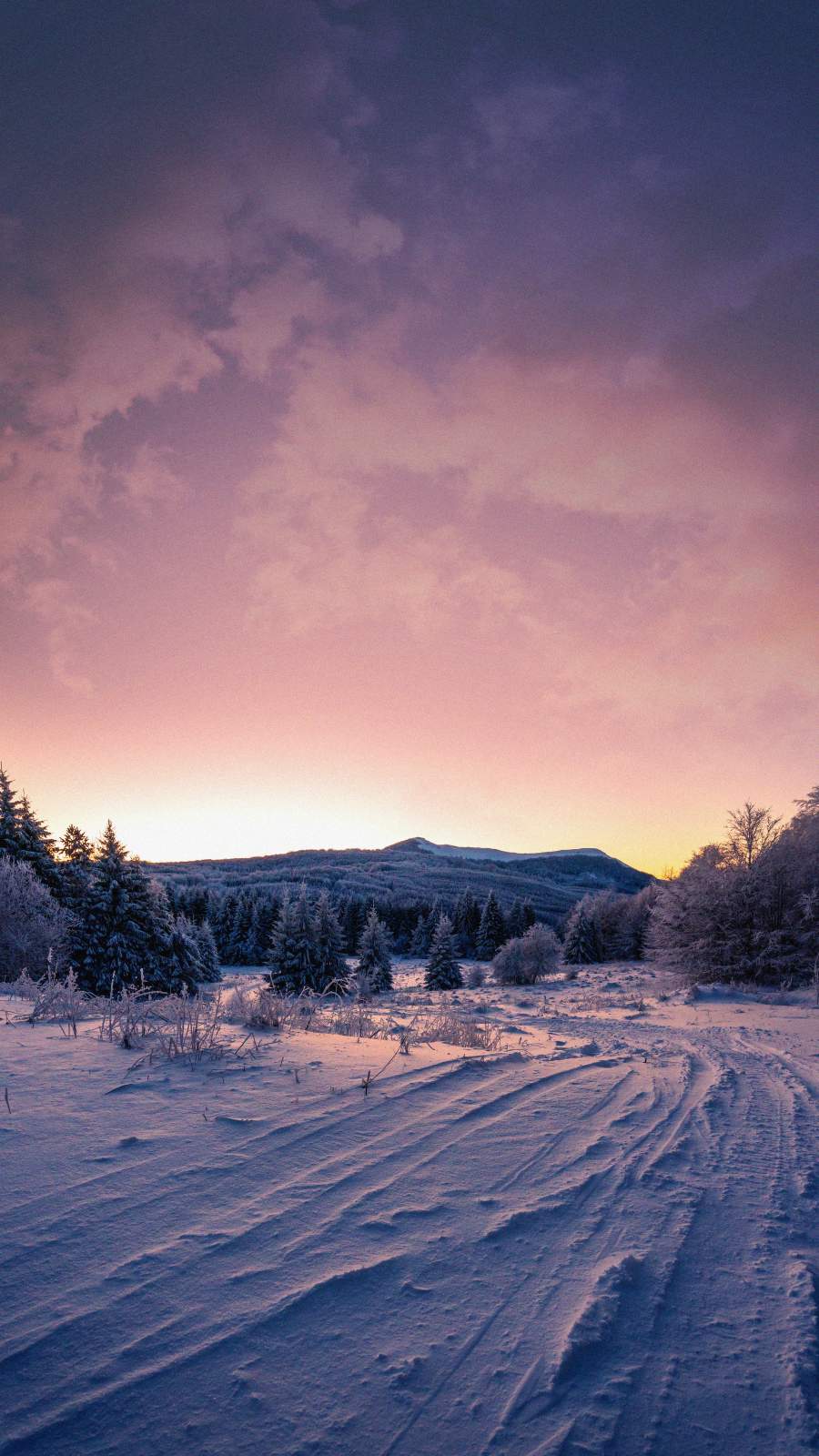 Snow Nature Sunrise IPhone Wallpaper Wallpaper, iPhone Wallpaper