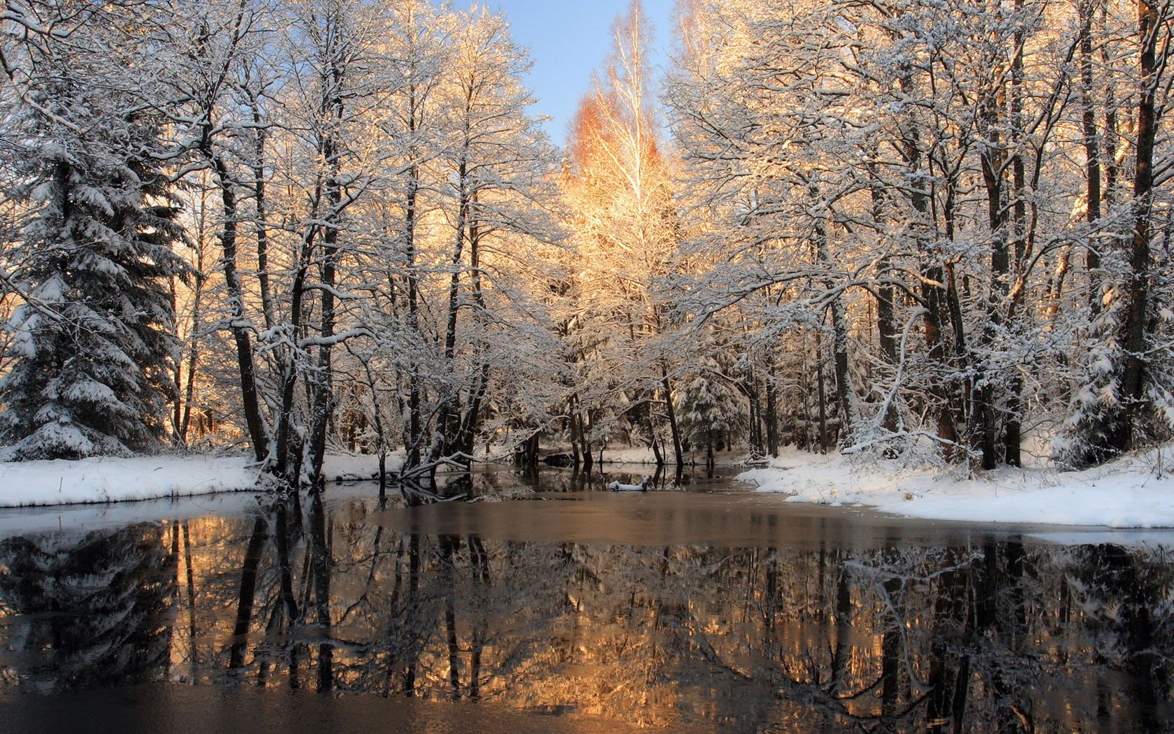 Free Desktop Wallpaper Picture Winter Winter Wallpaper. Winter wallpaper, Winter scenes, Winter photography