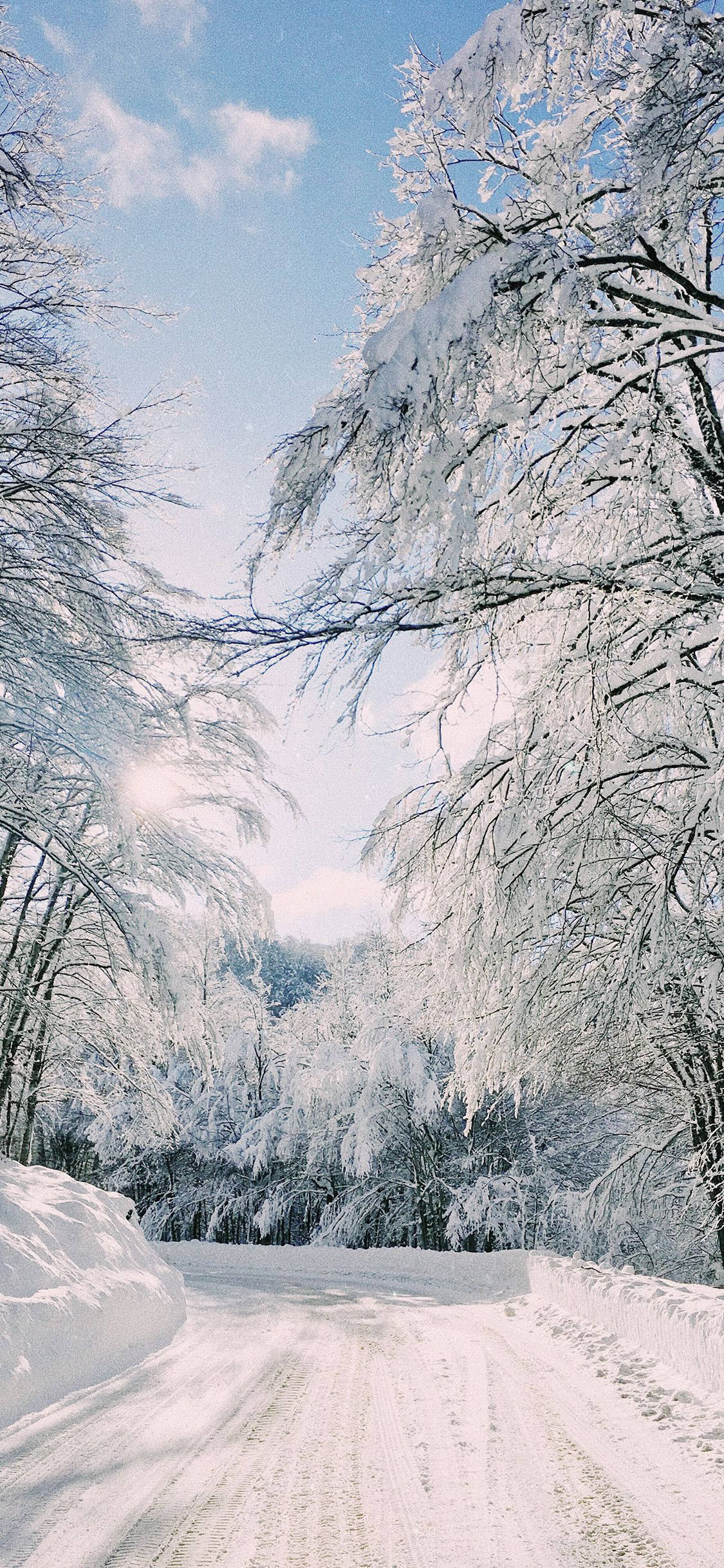 Download Snowy Road Winter iPhone Wallpaper