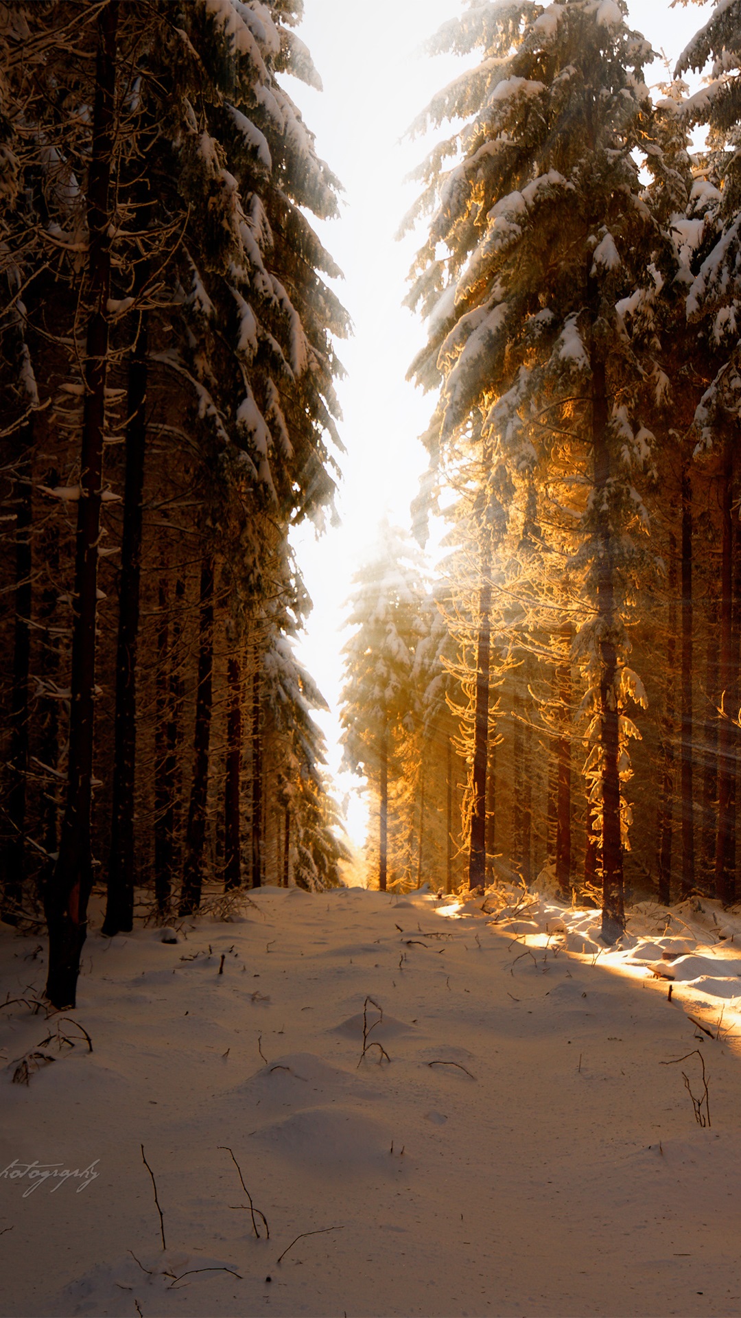 Germany, winter, snow, forest, sun rays iPhone X 8, 7, 6, 5, 4, 3GS wallpaper download