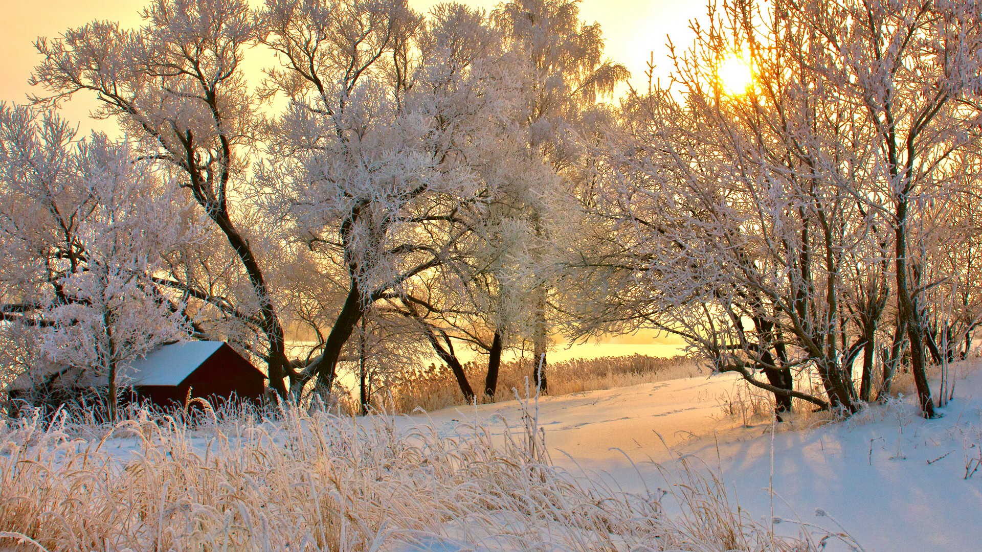 Romanian Winter desktop PC and Mac wallpaper