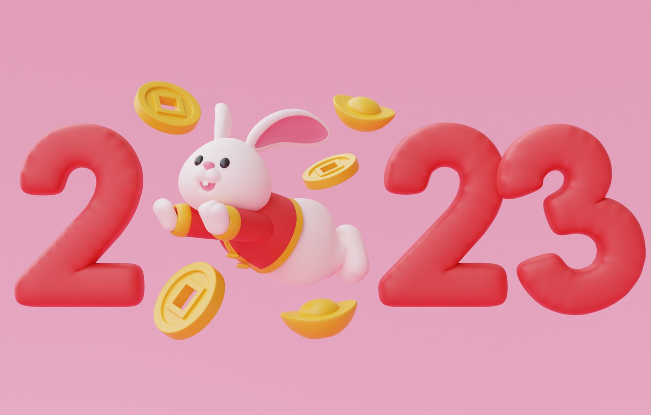 Wallpaper flight, gold, money, rabbit, Christmas, figures, New year, coins, Bunny, pink background, date, the year of the rabbit - for desktop, section новый год